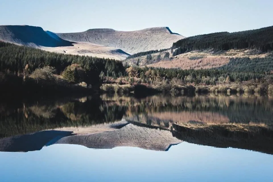 Natural landscape in James' Place at Brynawel