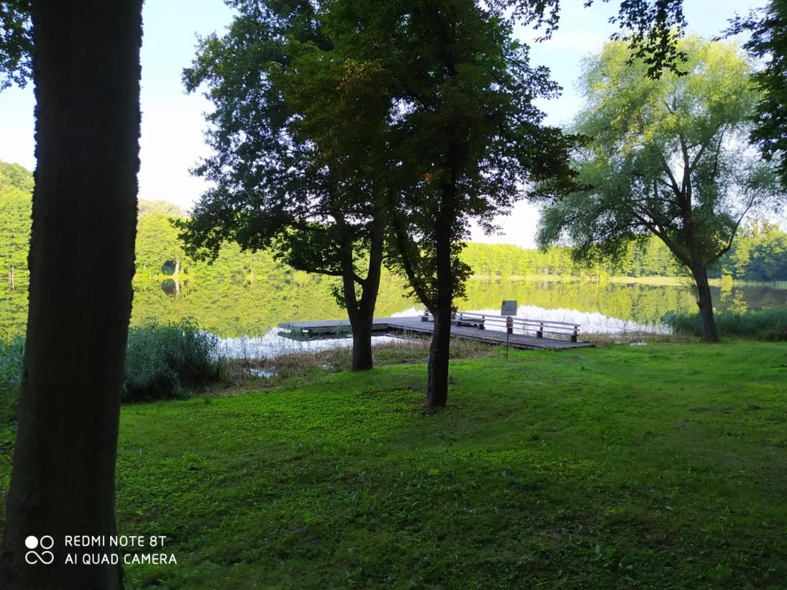 Garden in Dwór nad jeziorem w Bieniaszach