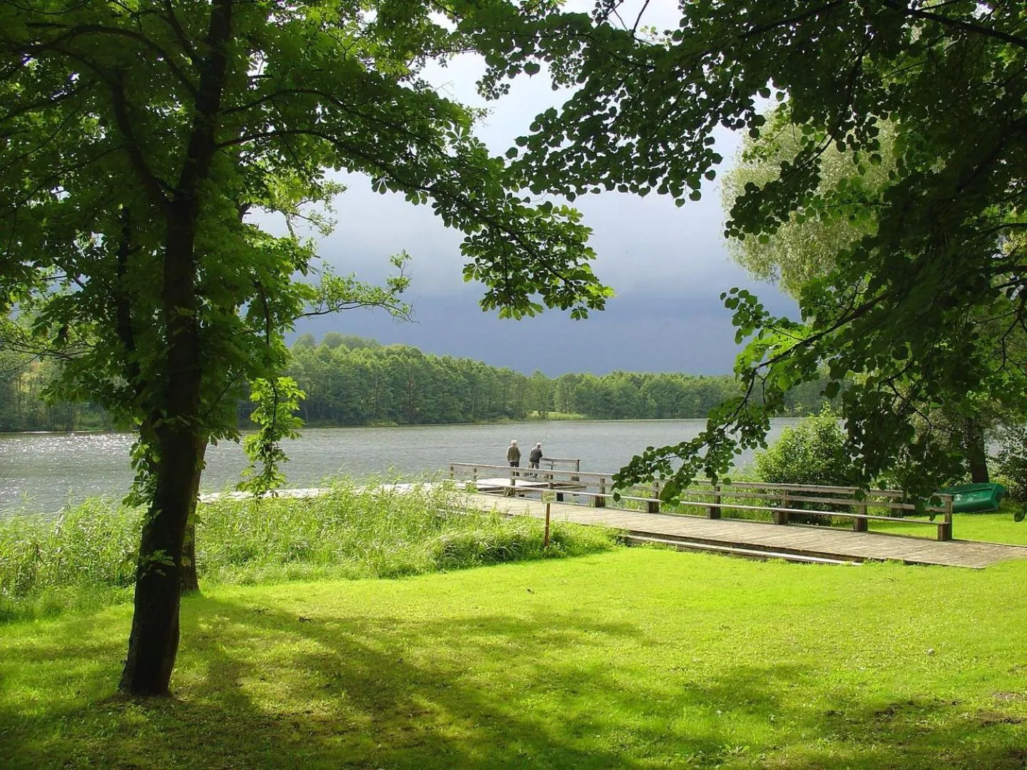 Natural landscape in Dwór nad jeziorem w Bieniaszach
