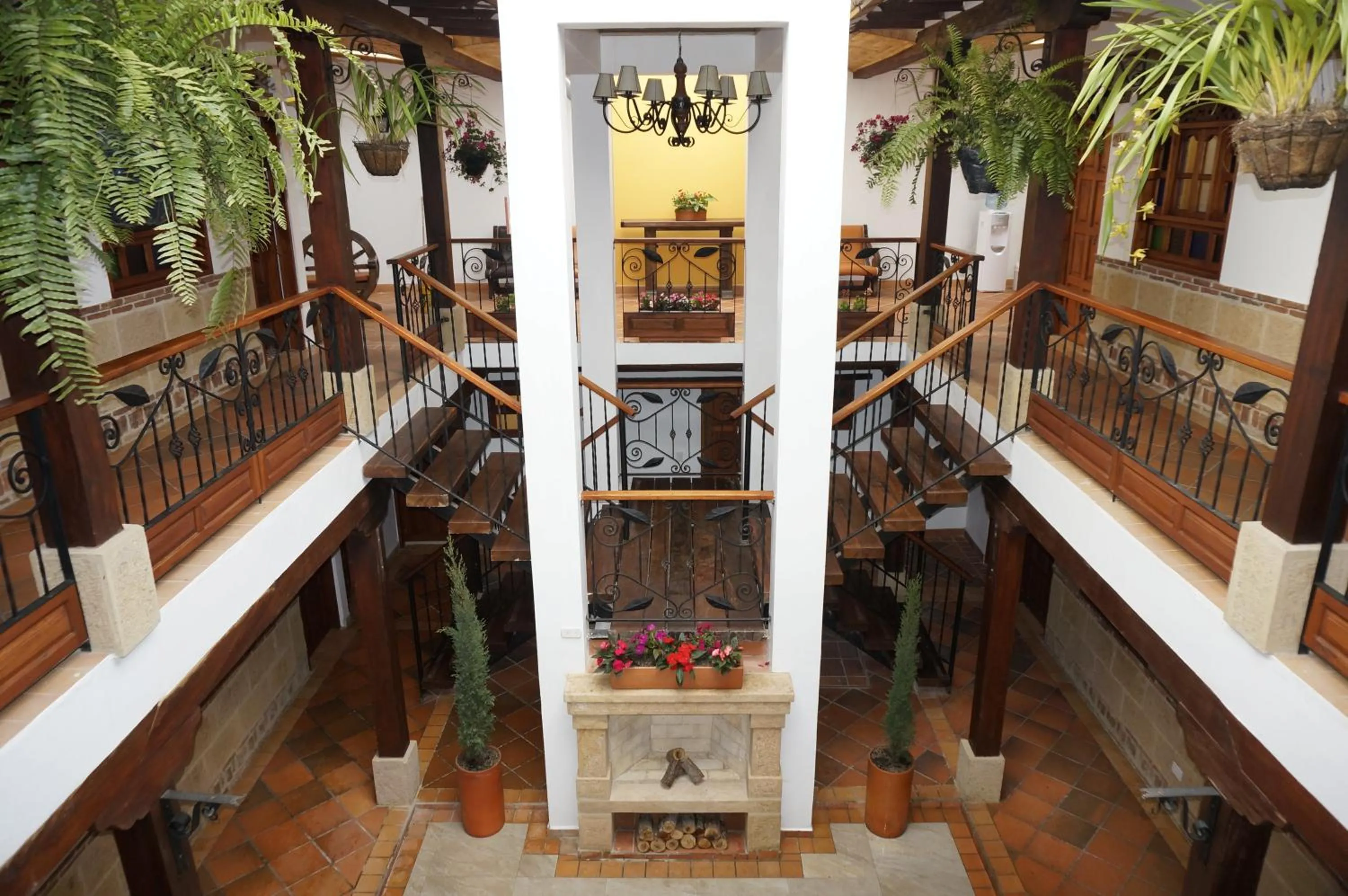 Area and facilities in Hotel Jardines De La Villa