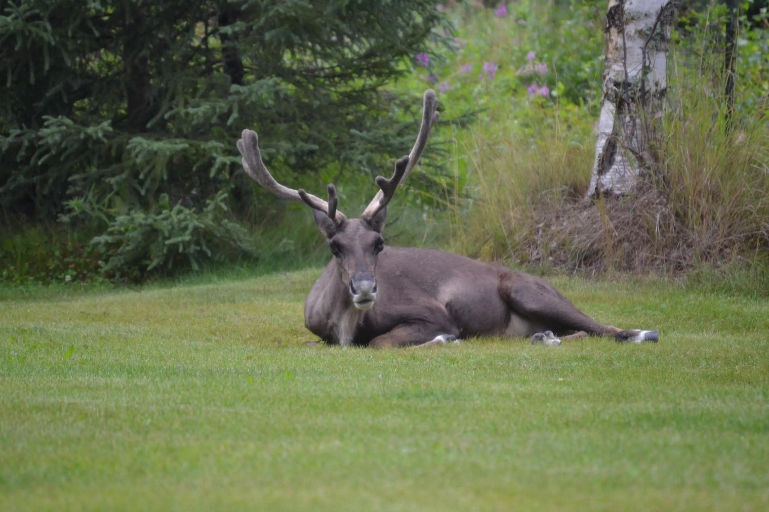 Summer in All Seasons B&B