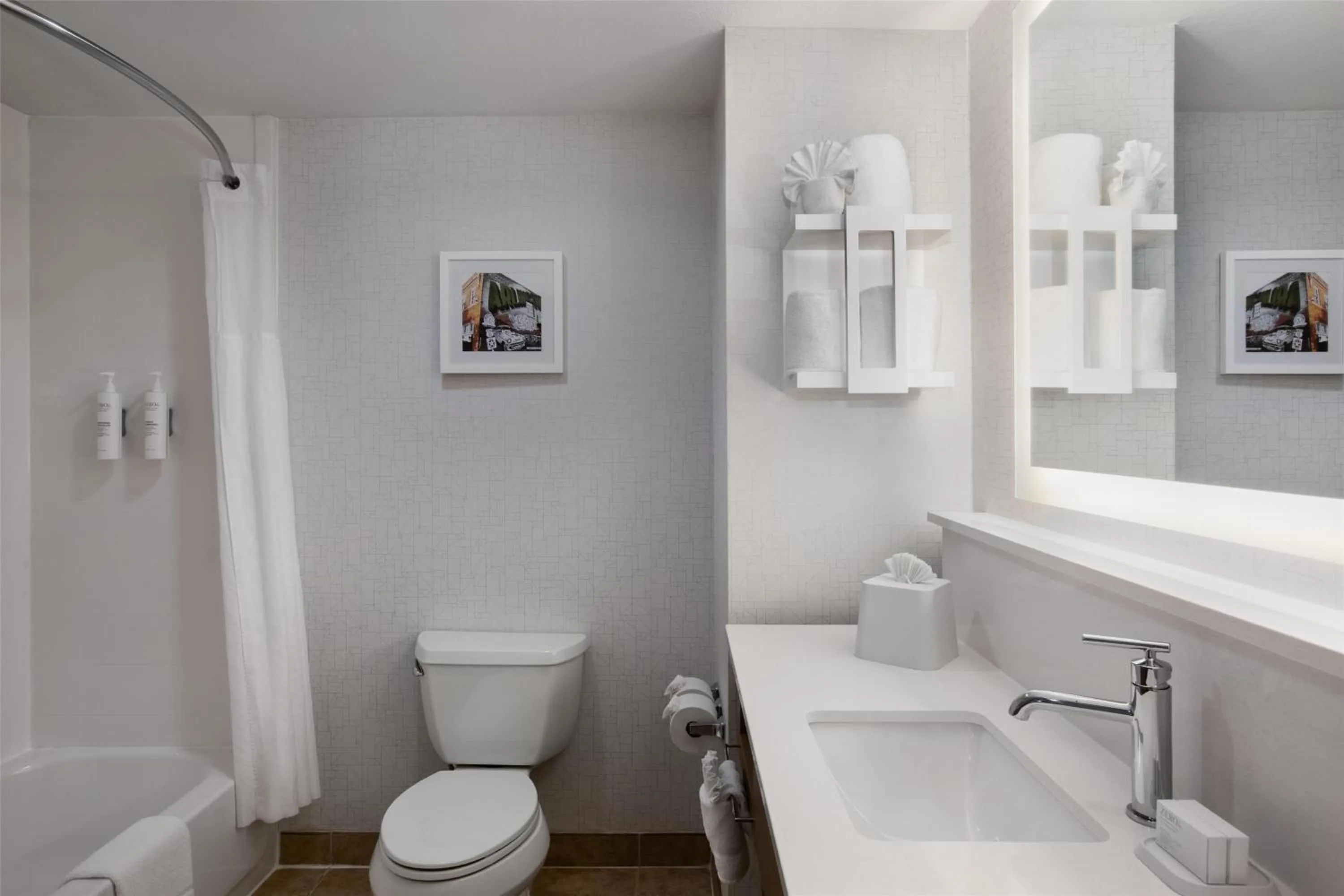 Bathroom in Hampton Inn & Suites Dallas-Arlington North-Entertainment District