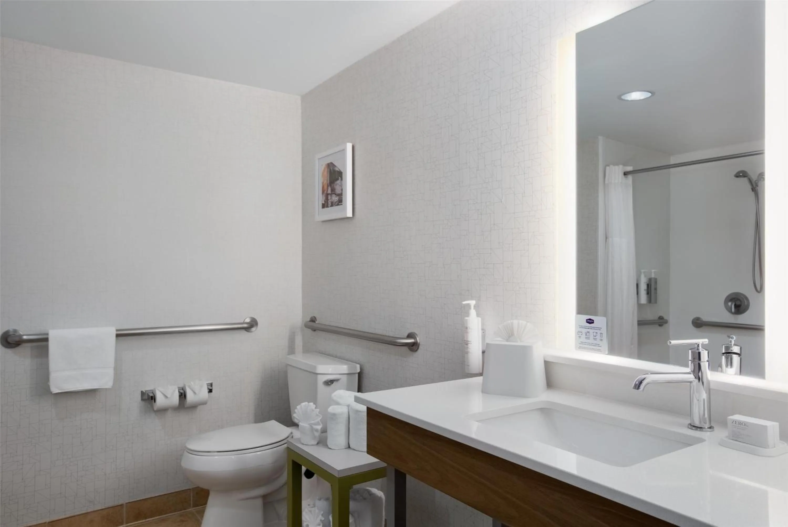 Bathroom in Hampton Inn & Suites Dallas-Arlington North-Entertainment District