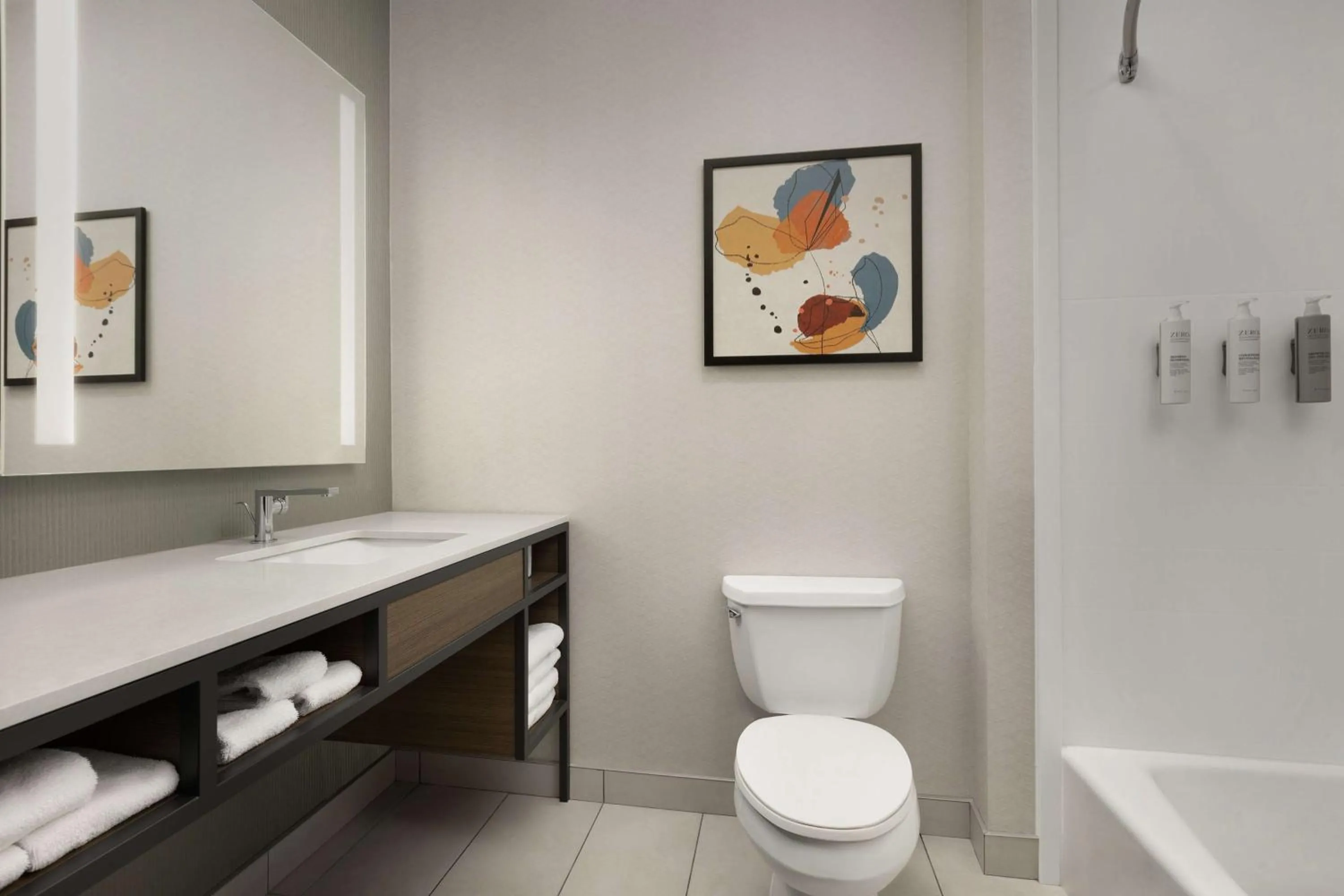 Toilet in Hilton Garden Inn Abilene