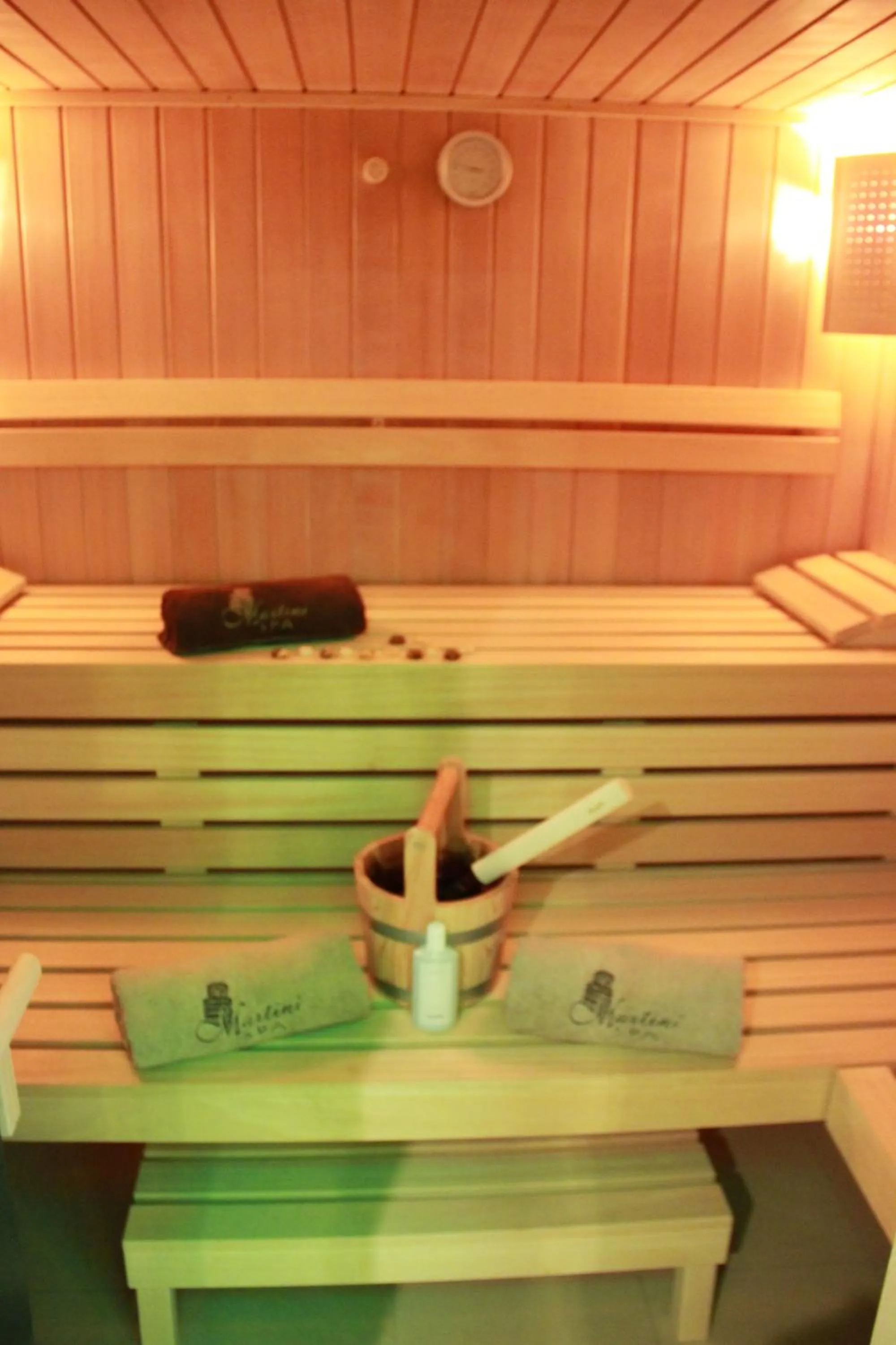 Sauna in Villa Martini