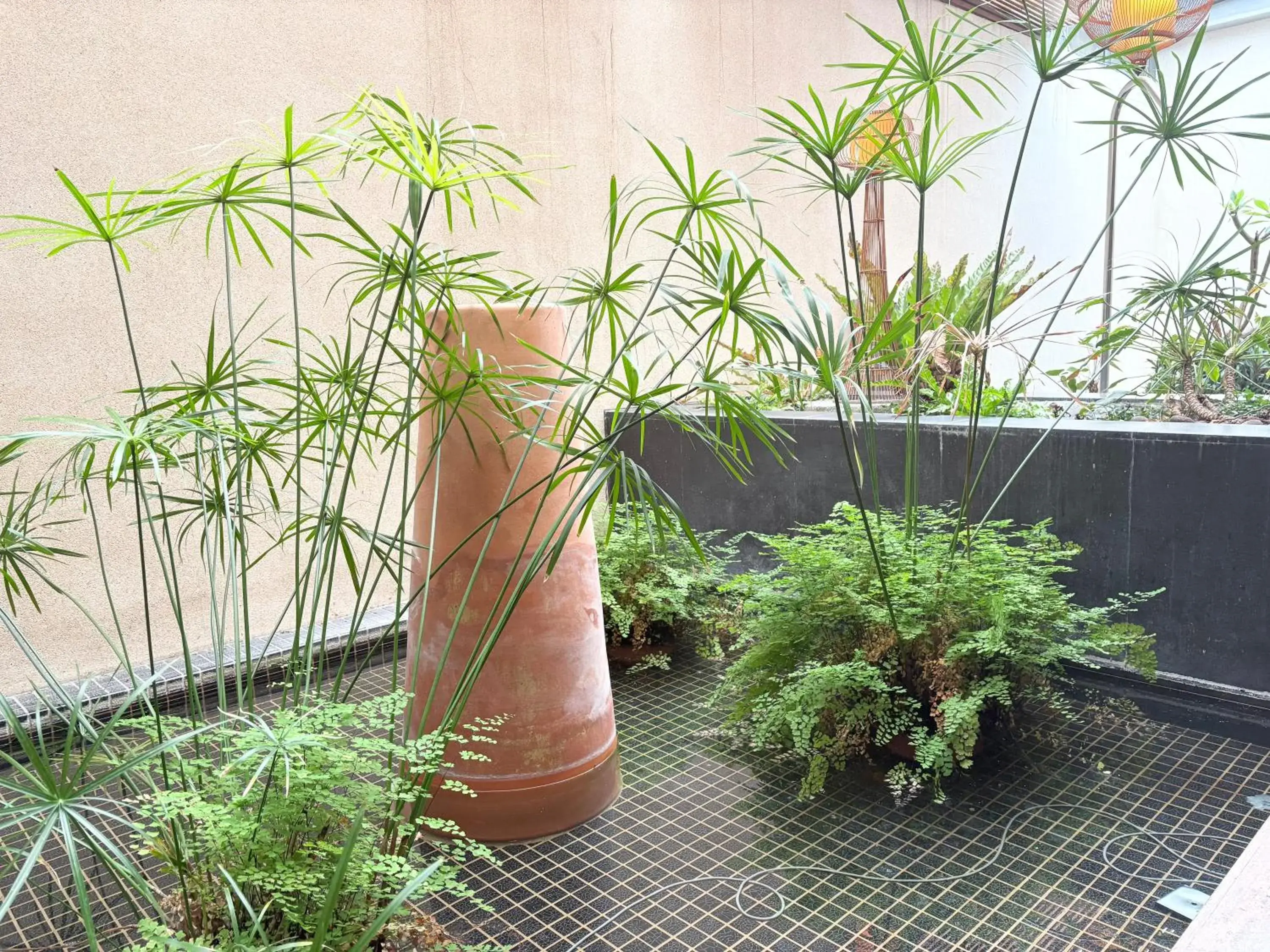 Garden view in Xiadu Motel Garden view in Xiadu Motel