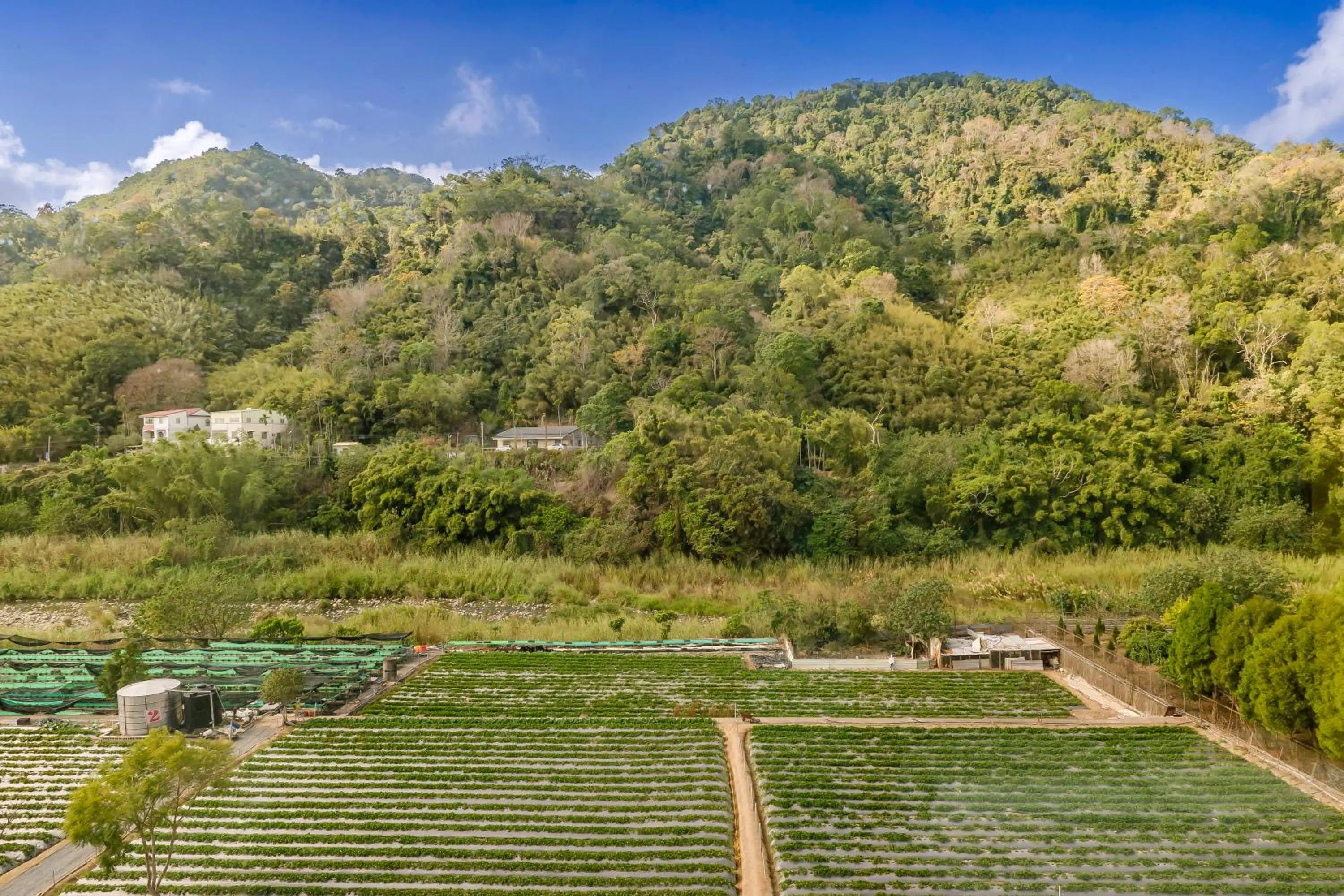 Day in Quan Ming B&B