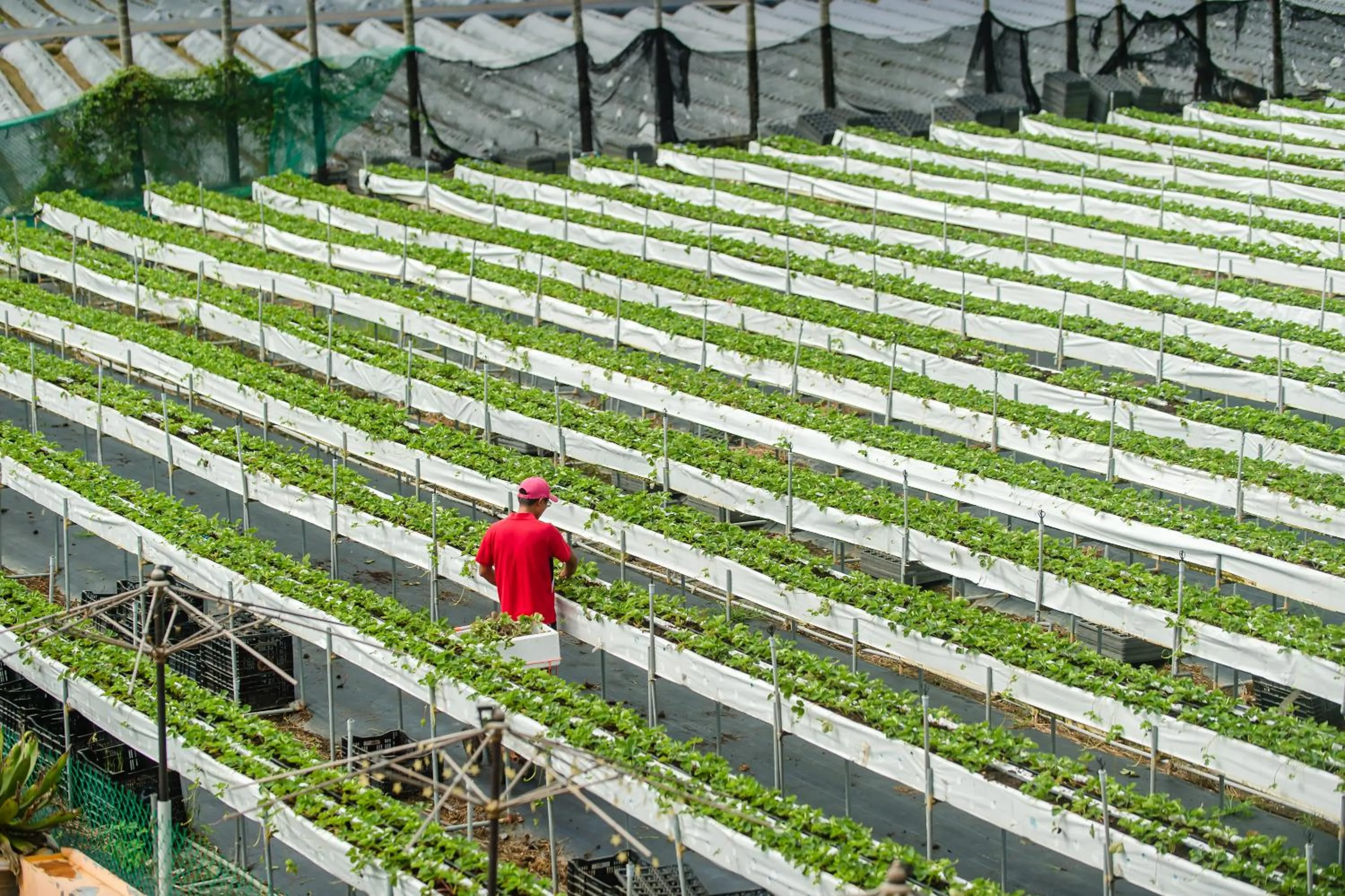 Garden view in Quan Ming B&B