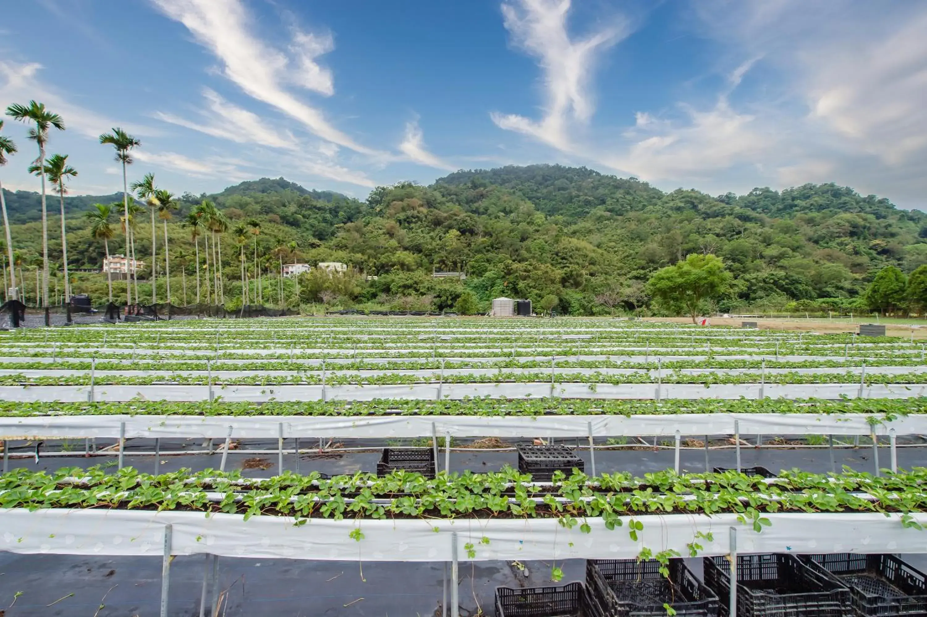 Mountain view in Quan Ming B&B Mountain view in Quan Ming B&B