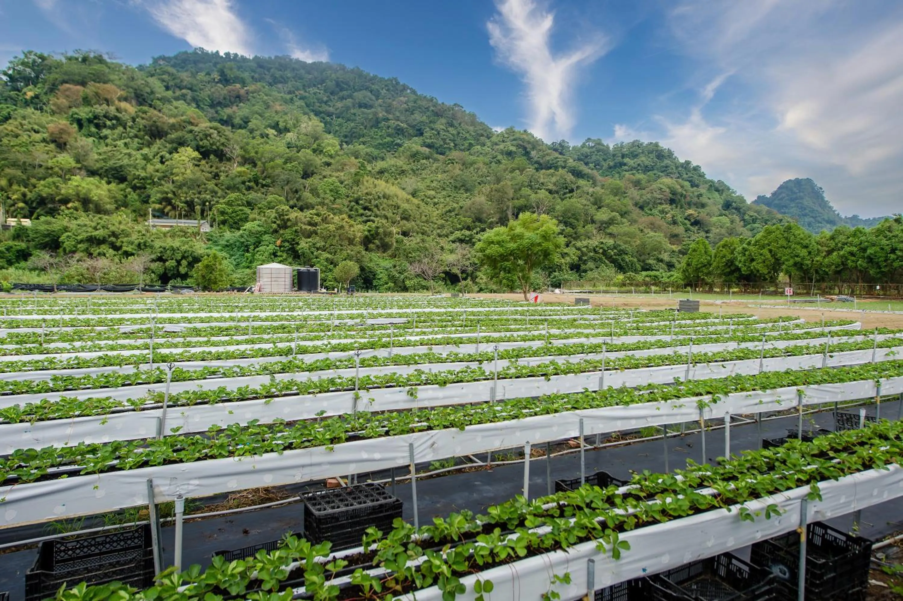 Natural landscape in Quan Ming B&B