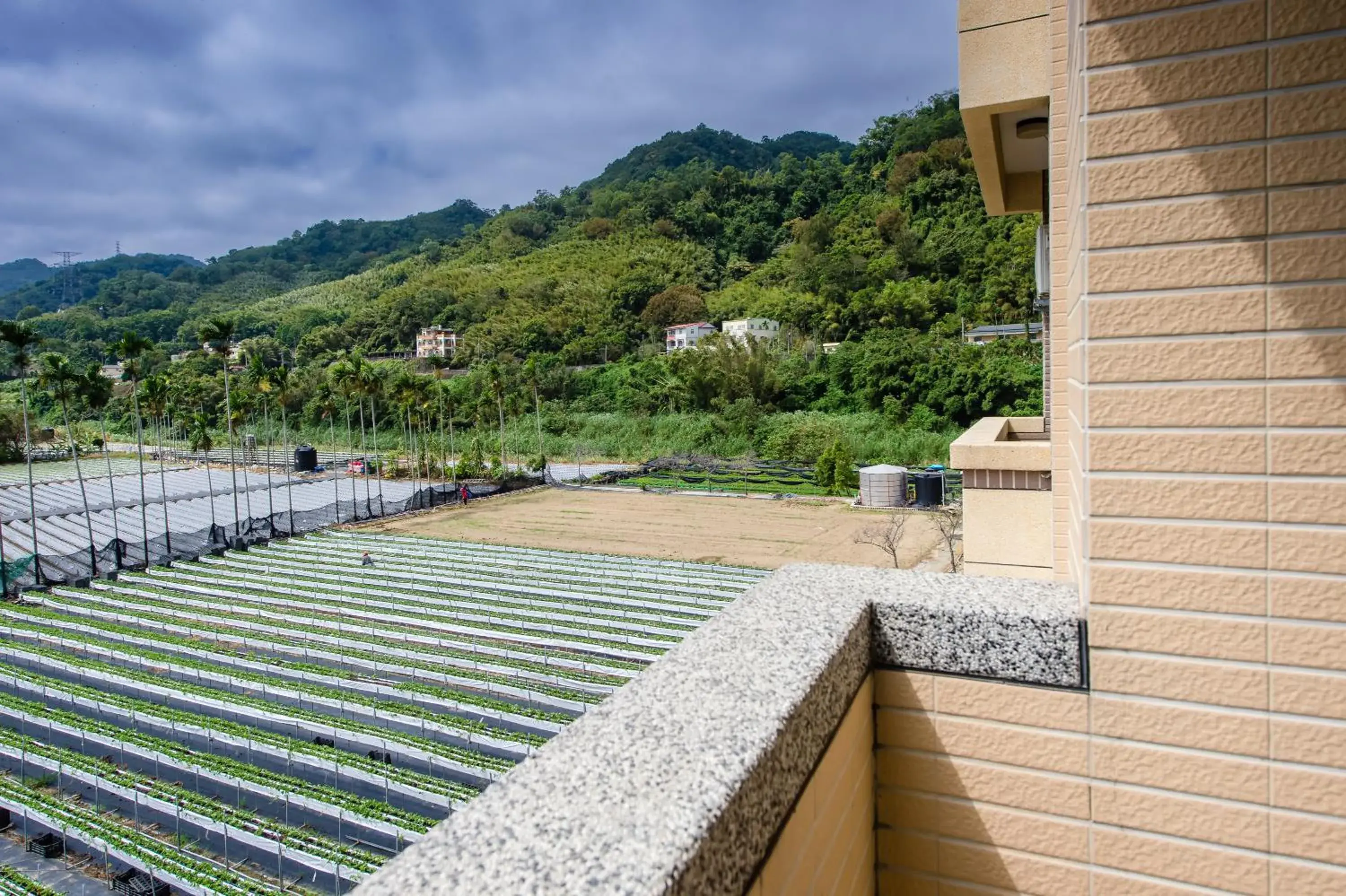 View (from property/room) in Quan Ming B&B View (from property/room) in Quan Ming B&B