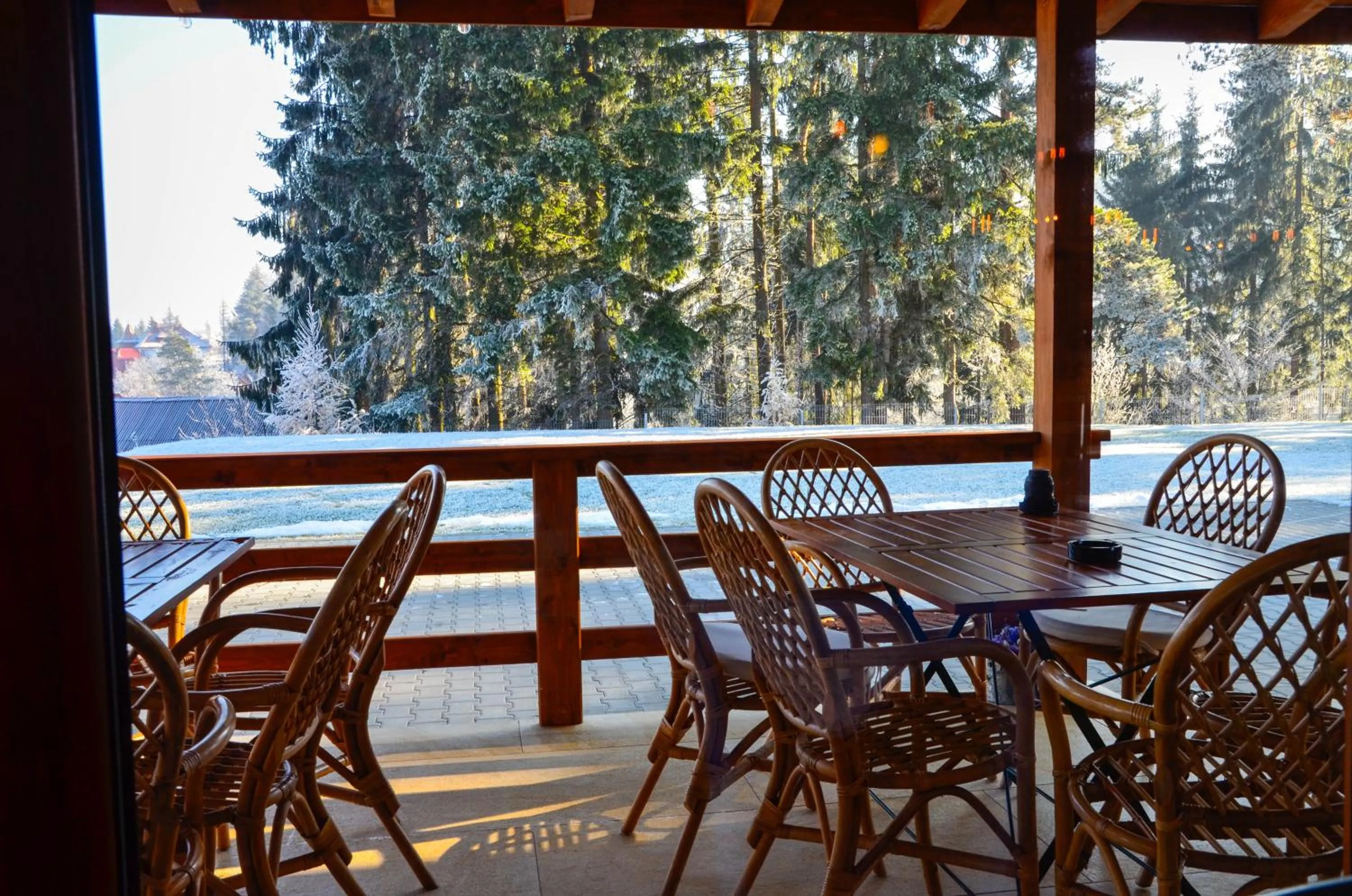 Balcony/Terrace in Pensiunea Banffy
