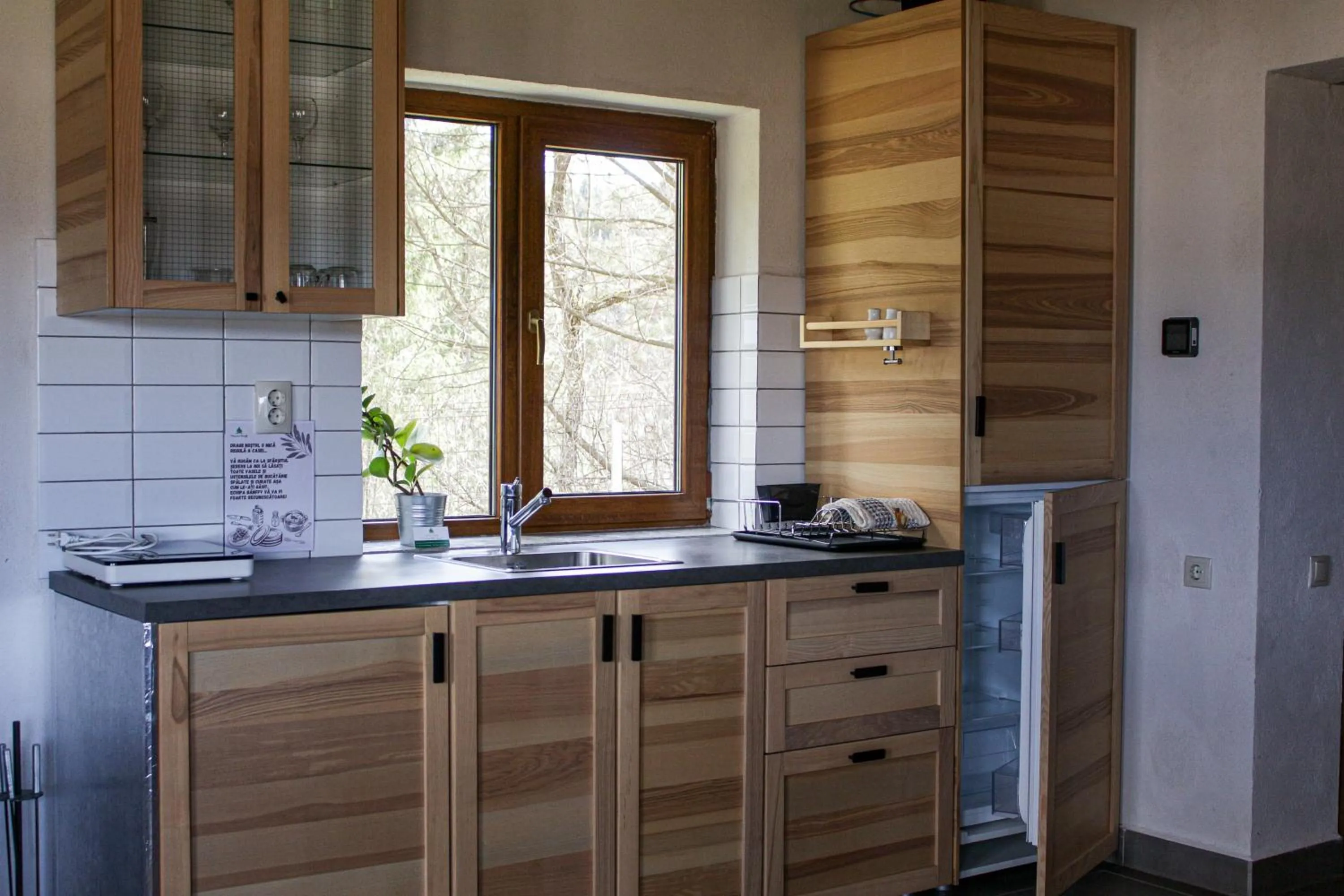 Kitchen or kitchenette in Pensiunea Banffy