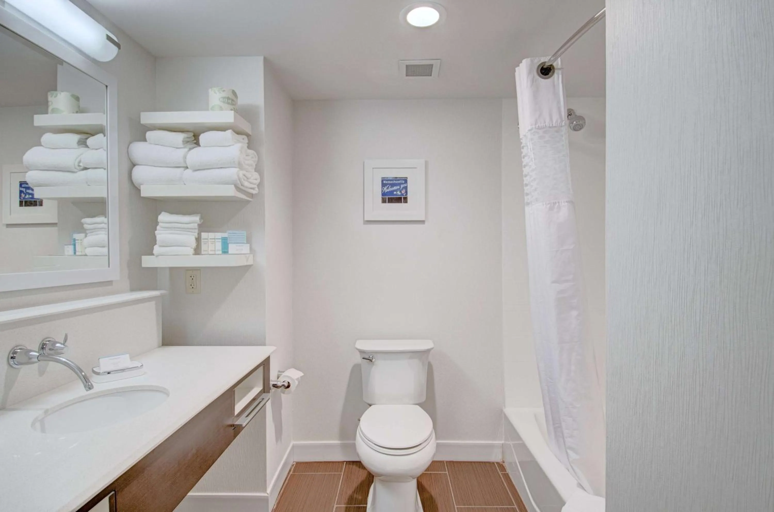 Bathroom in Hampton Inn & Suites Springfield Downtown