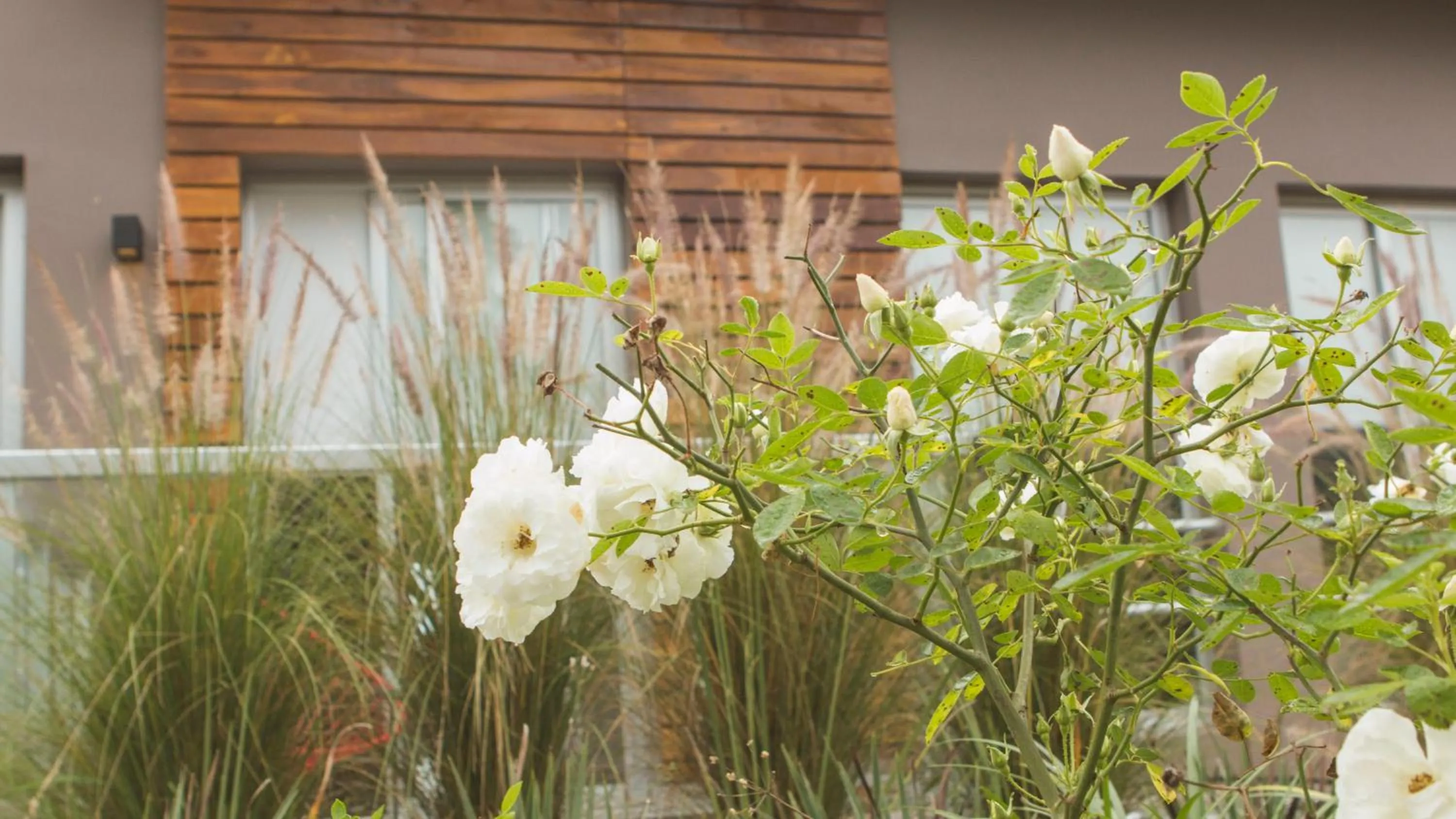 Other in Amalinas Hotel