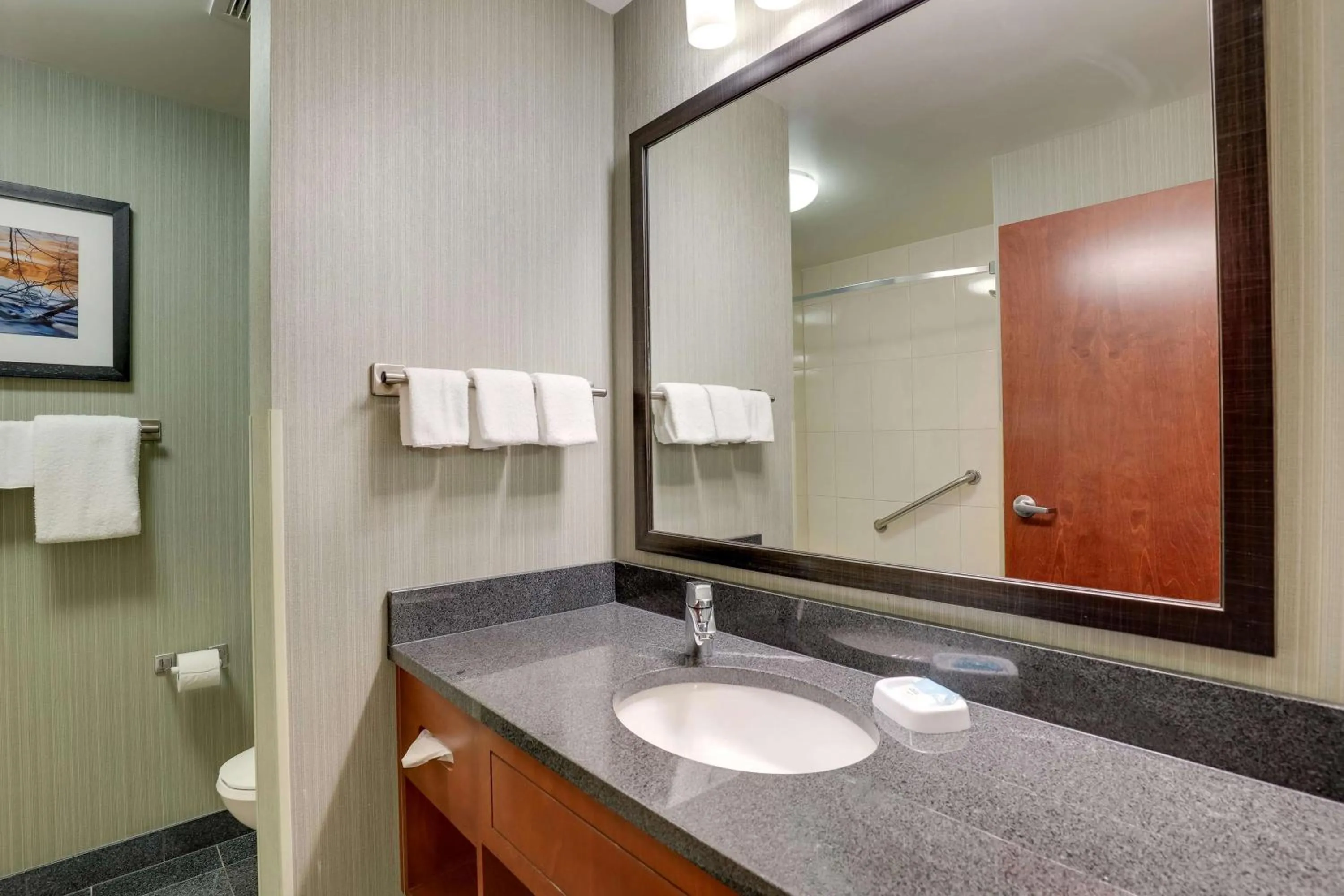 Bathroom in Drury Inn & Suites Grand Rapids