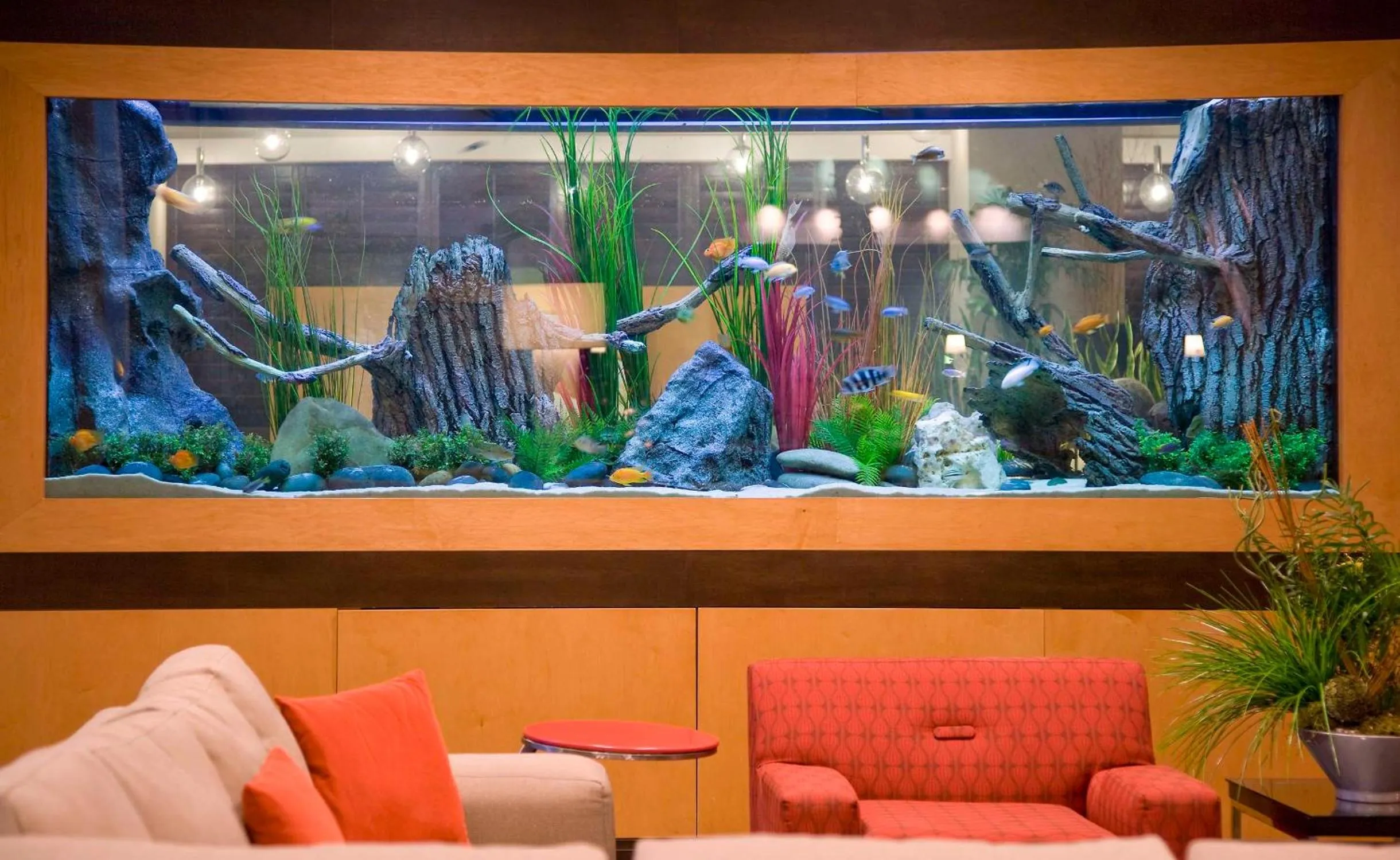 Lobby or reception in Embassy Suites by Hilton Houston-Energy Corridor