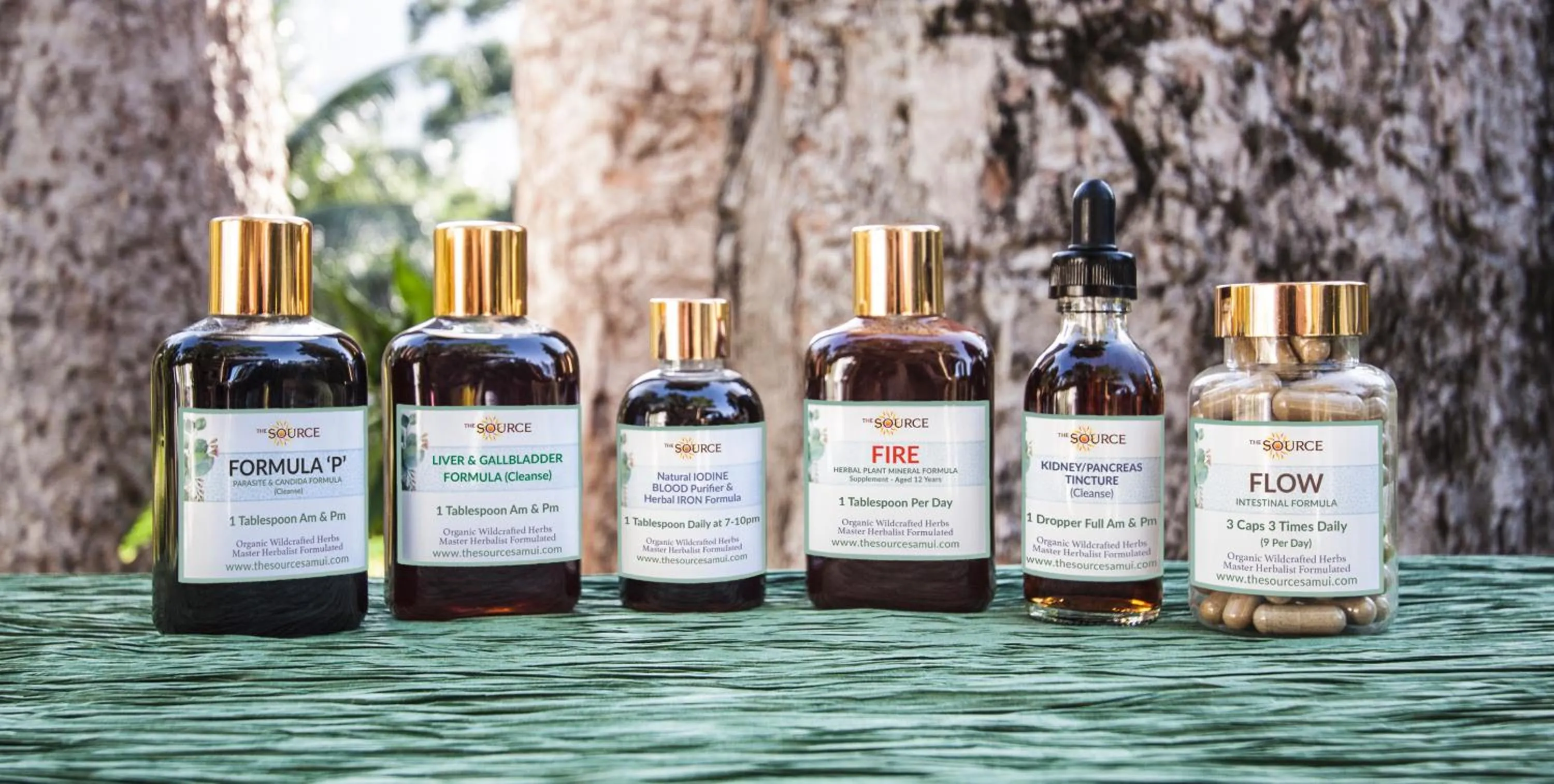 Spa and wellness centre/facilities in The Source Herbal Detox Retreat