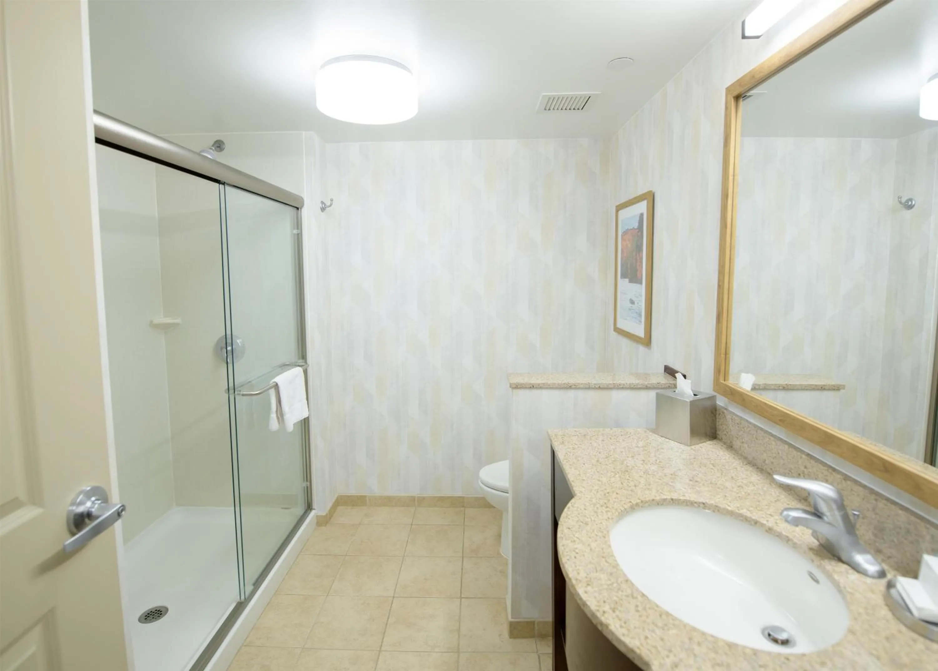 Bathroom in Hampton Inn Presque Isle