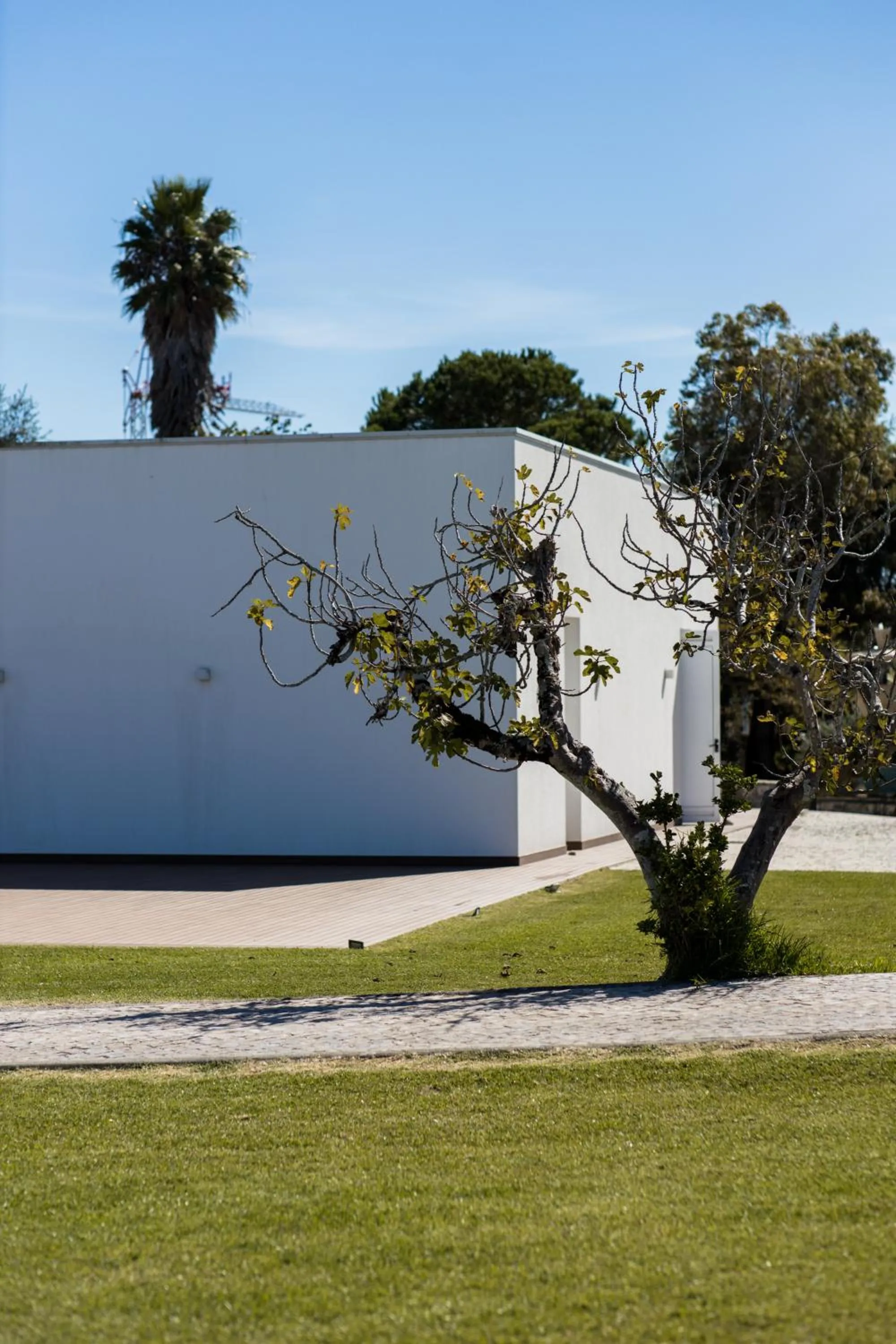 Property building in Quinta d'Anta- Hotel Rural