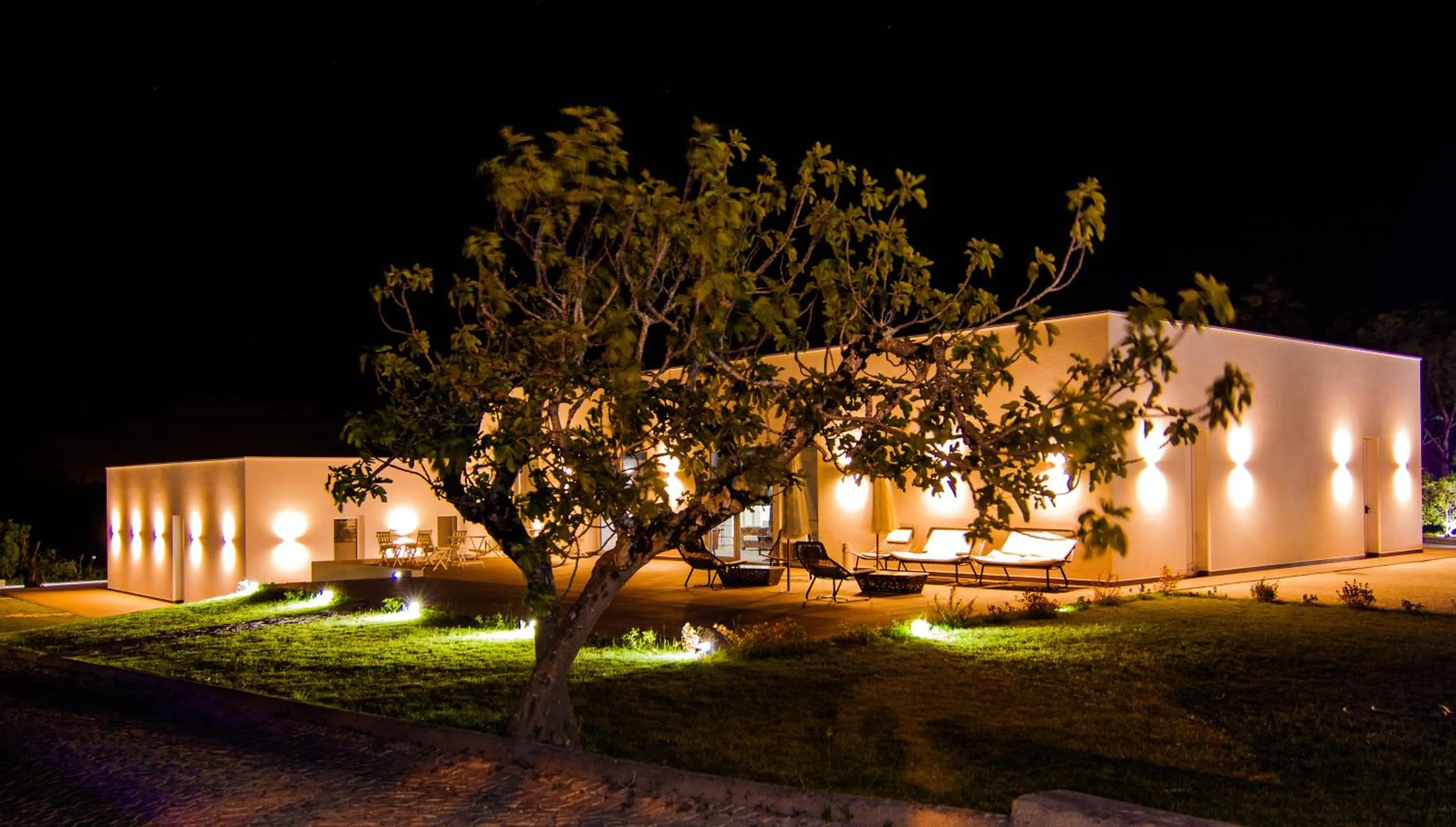 Property building in Quinta d'Anta- Hotel Rural