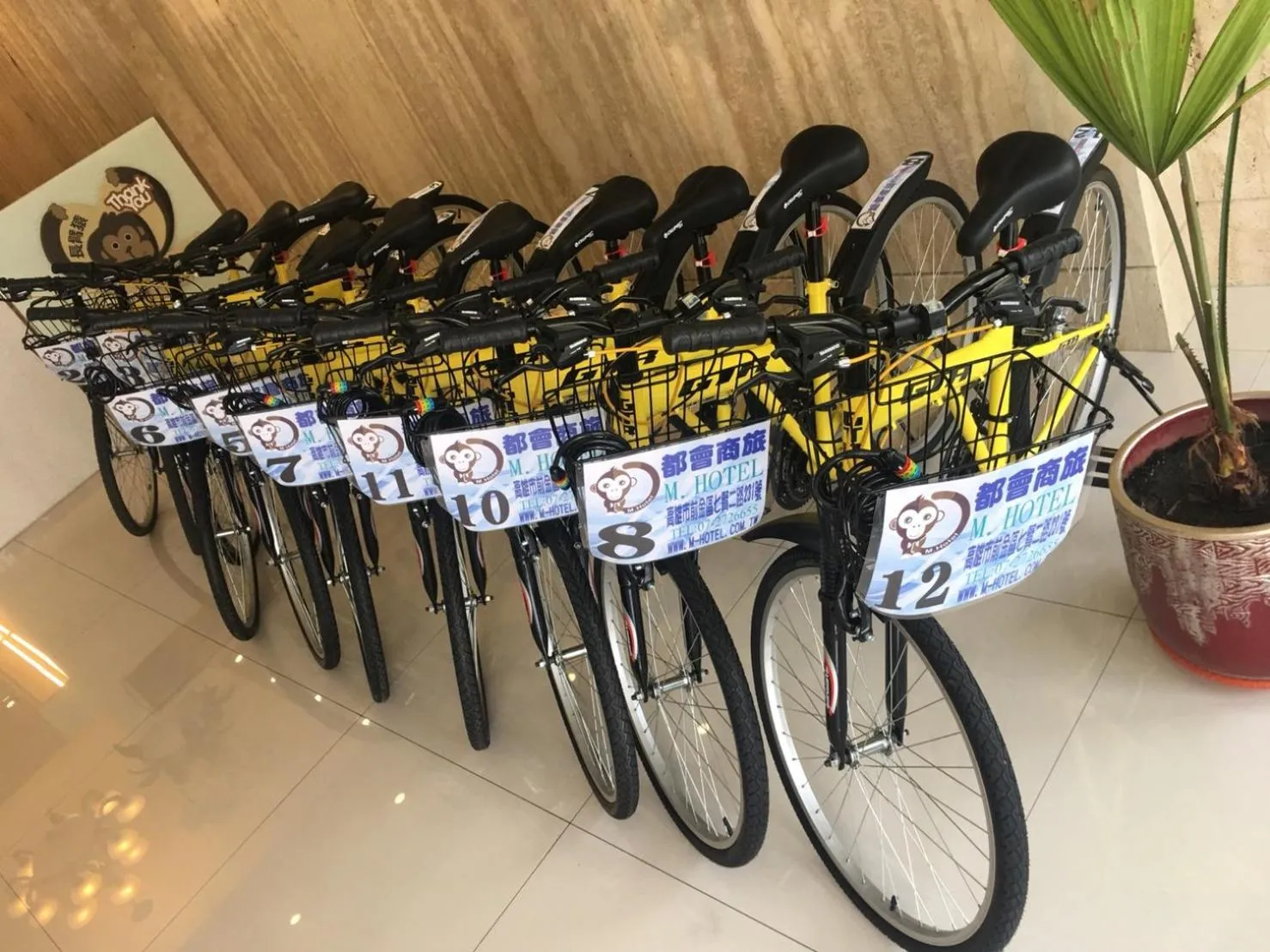 Activities in M Hotel