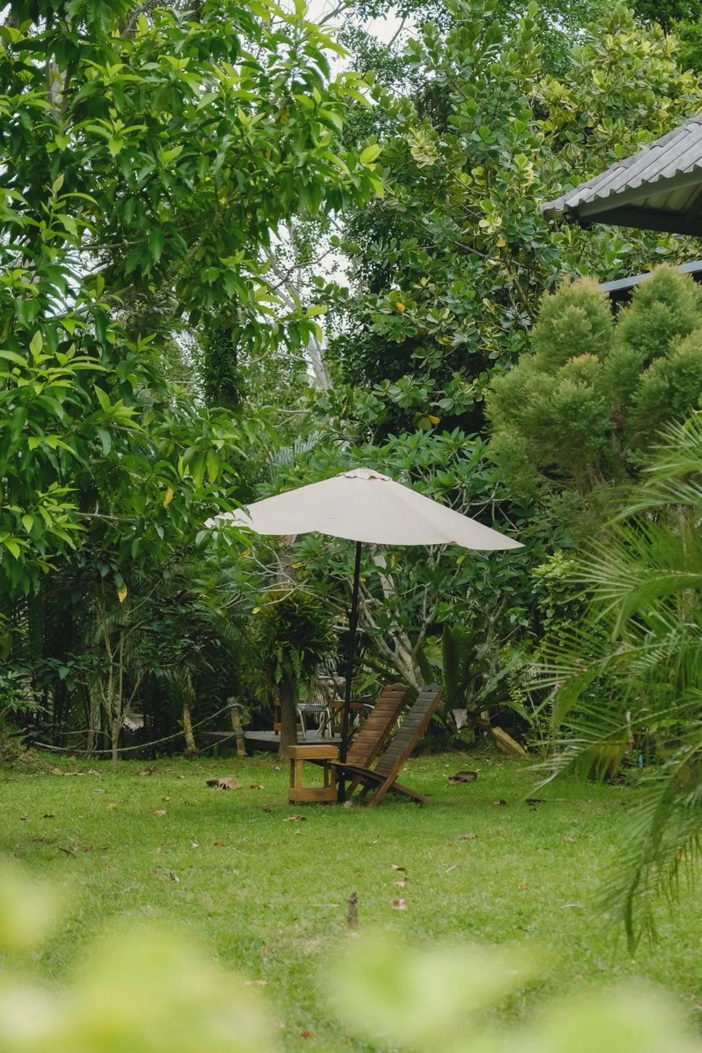 Garden in Villa Varich