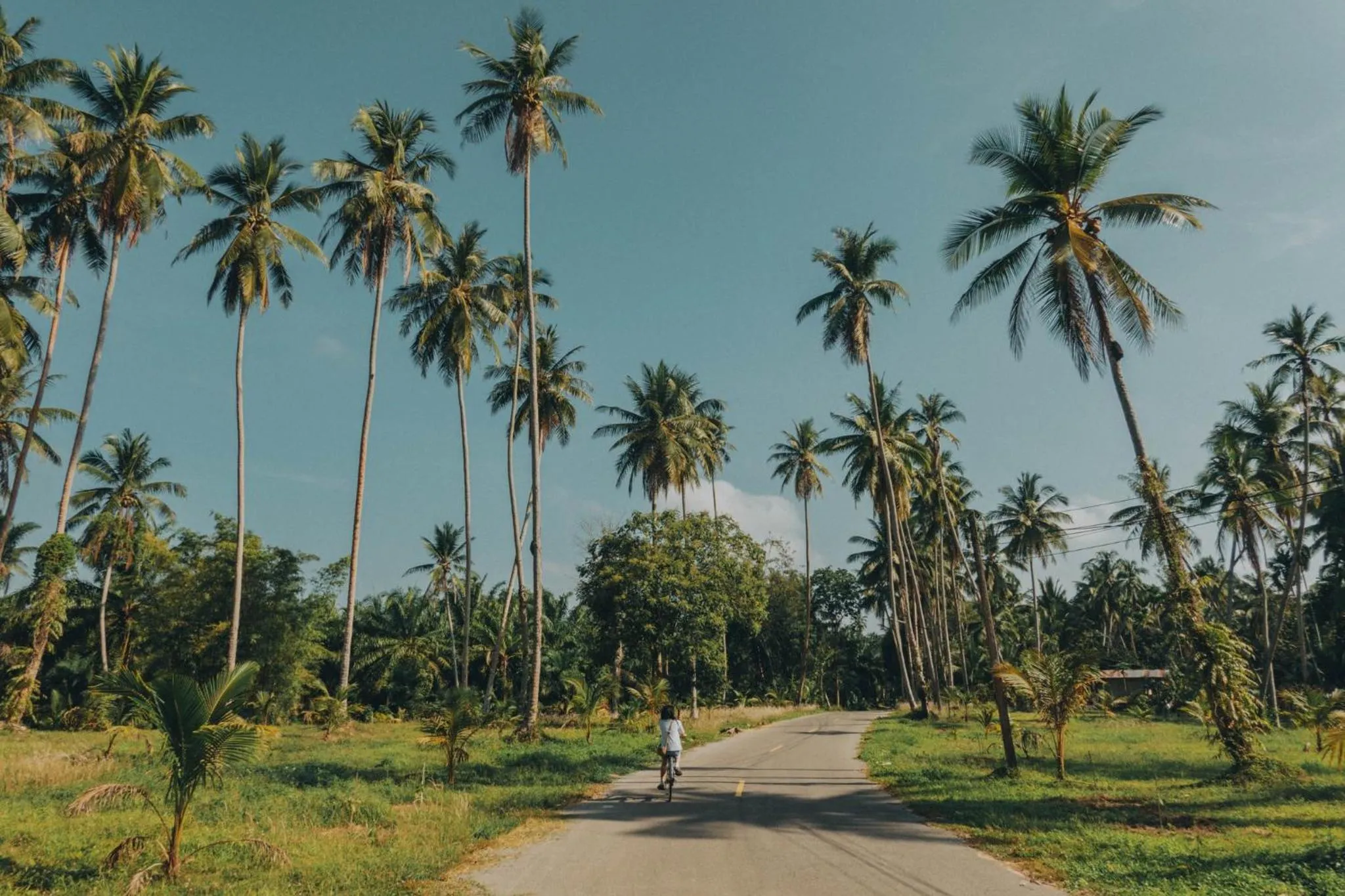 Cycling in Villa Varich