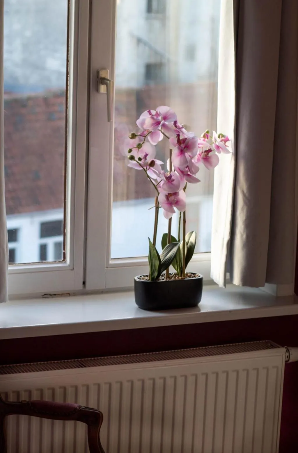 Hostel Lybeer Bruges