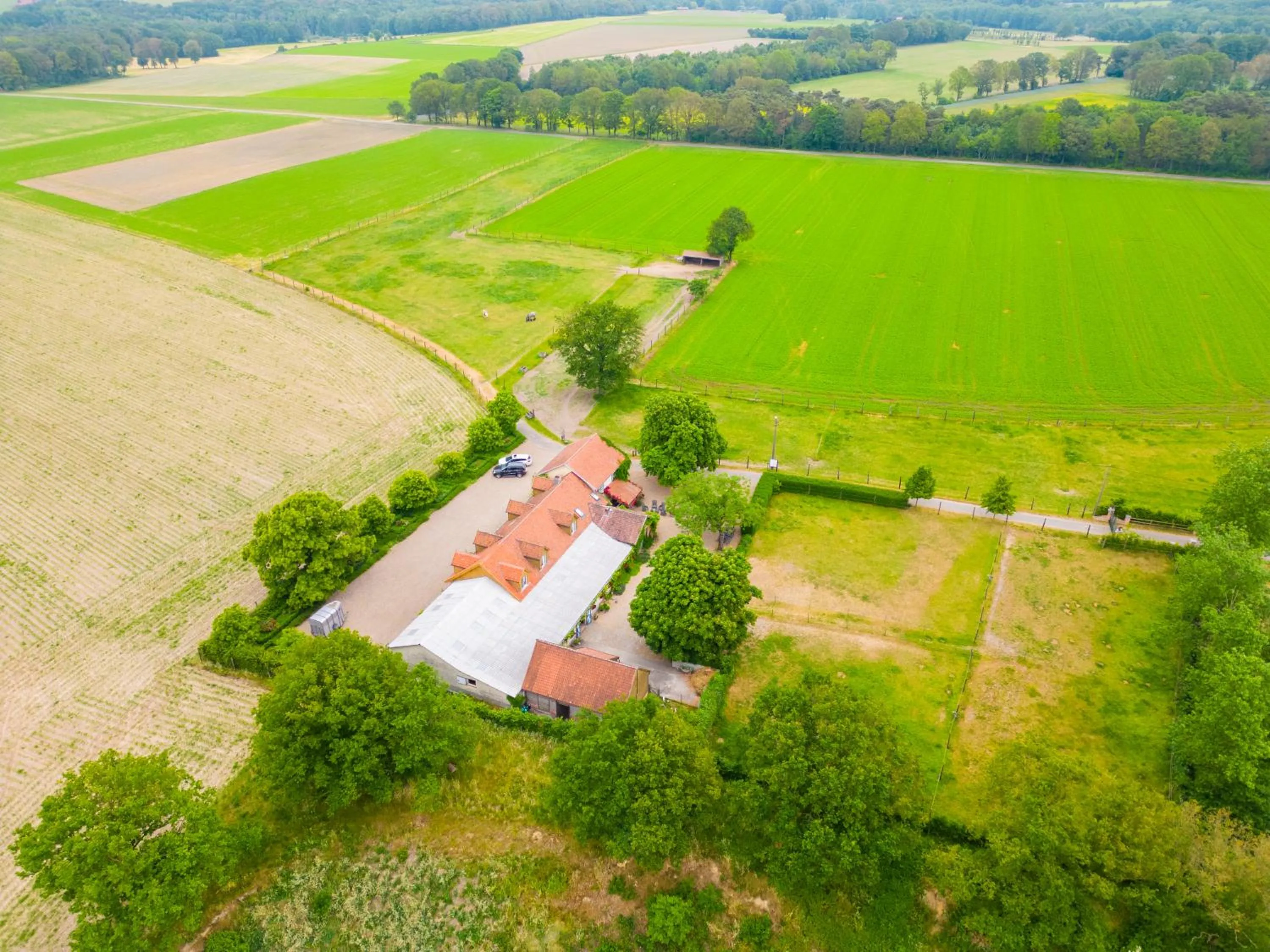 View (from property/room) in De Blauwe Maaten