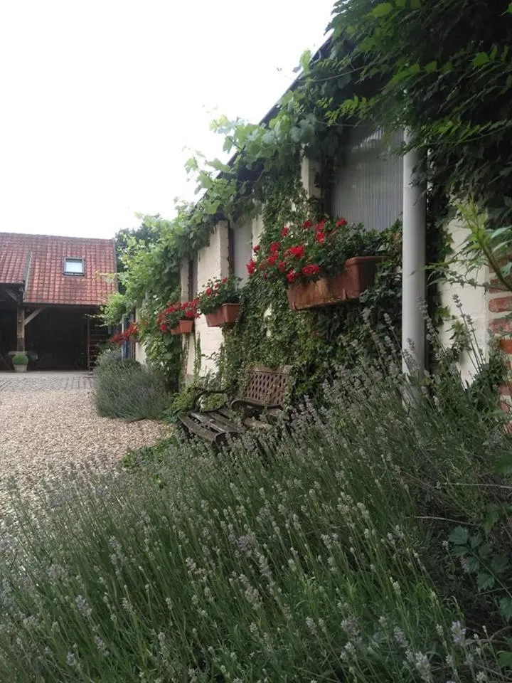 Garden in De Blauwe Maaten