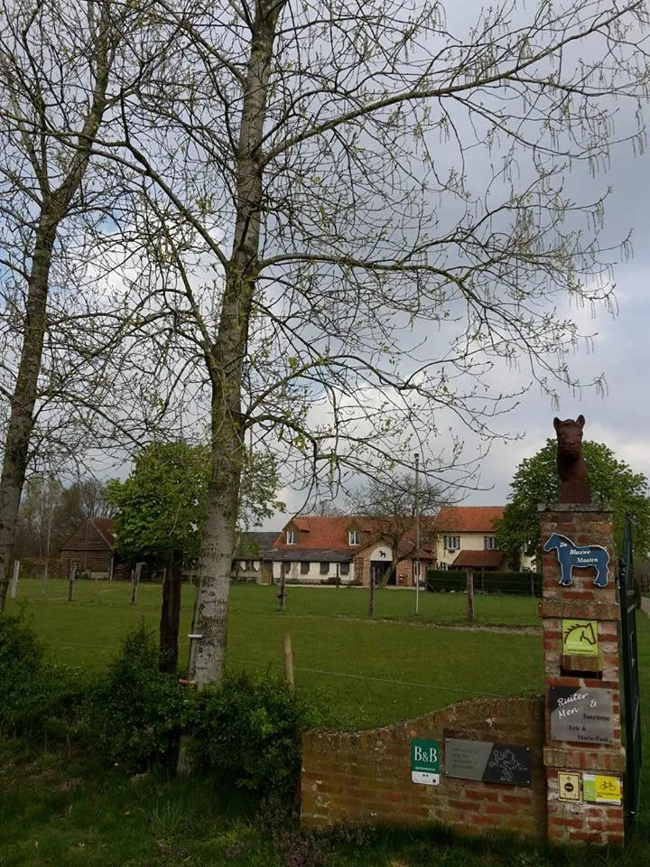 Property building in De Blauwe Maaten