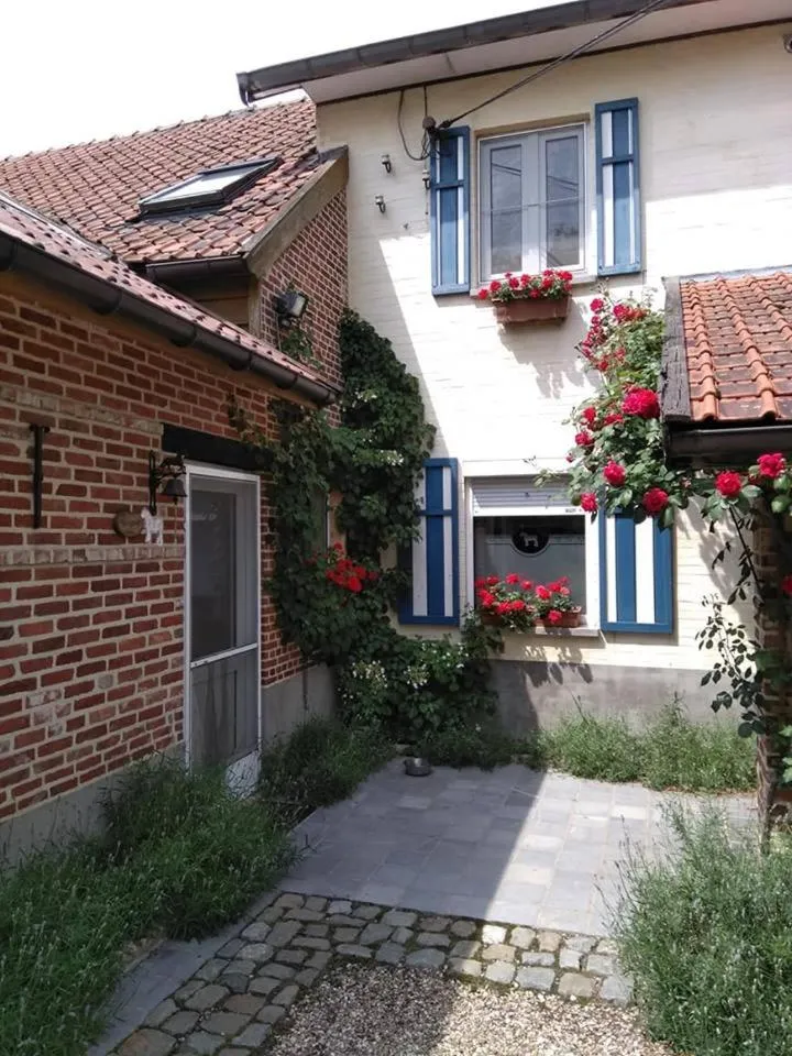Balcony/Terrace in De Blauwe Maaten