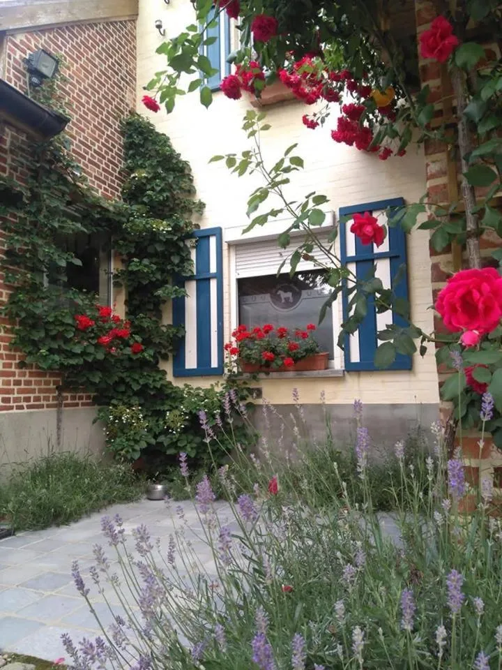 Garden in De Blauwe Maaten