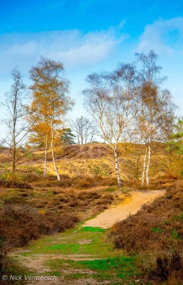 Hiking in De Blauwe Maaten