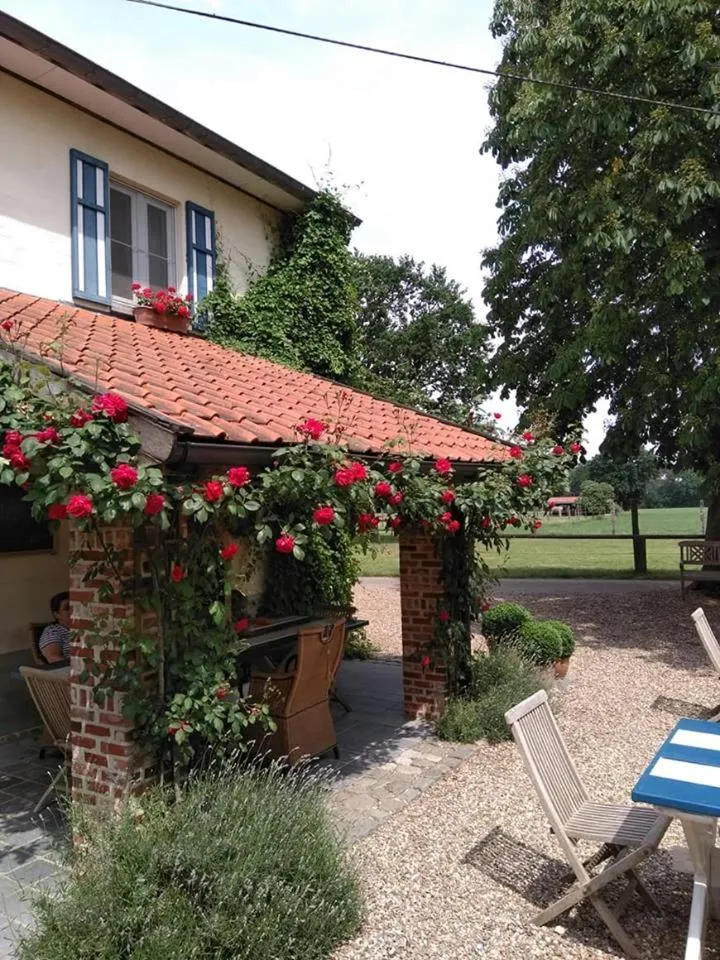 Garden in De Blauwe Maaten