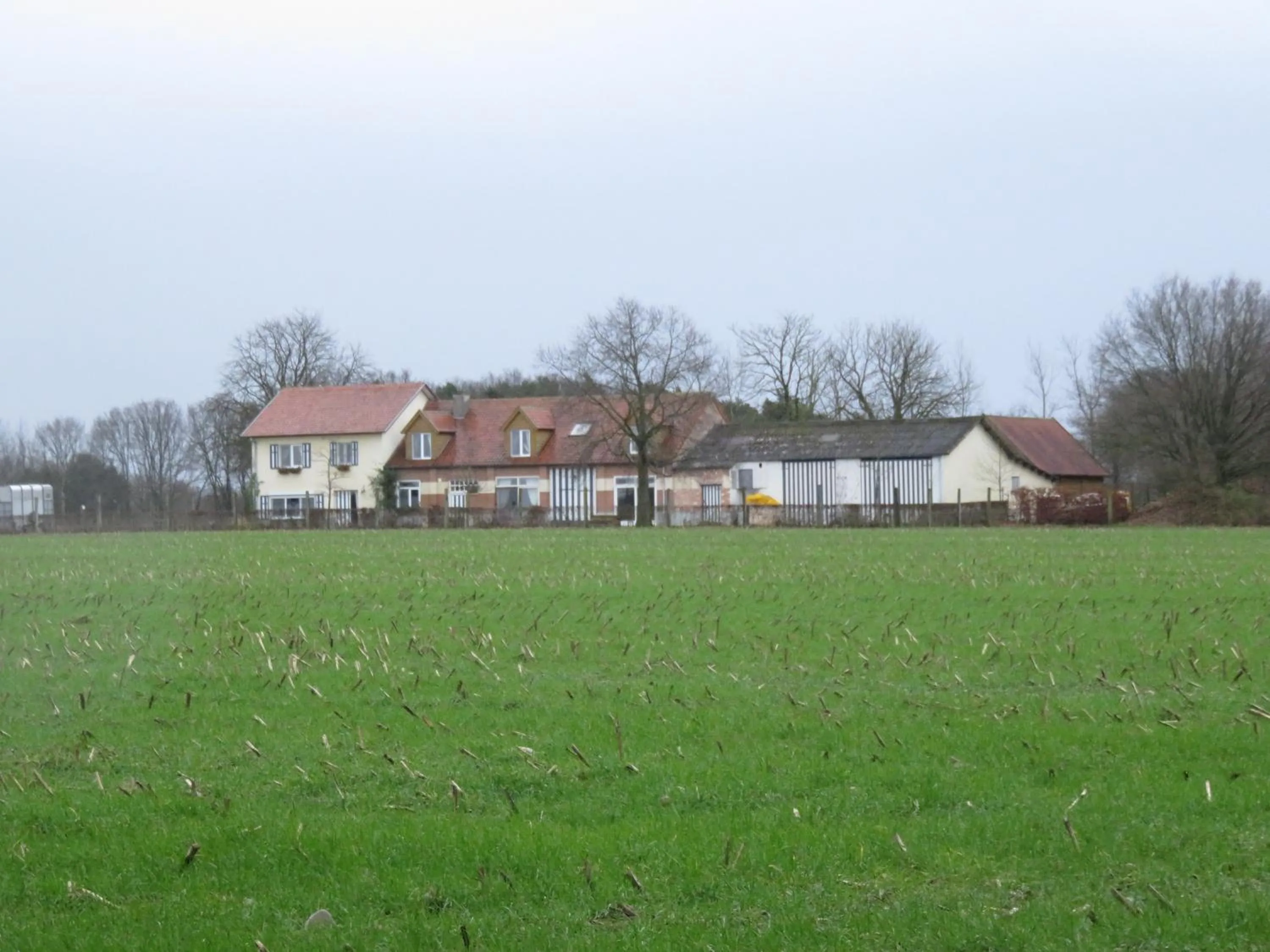 Natural landscape in De Blauwe Maaten
