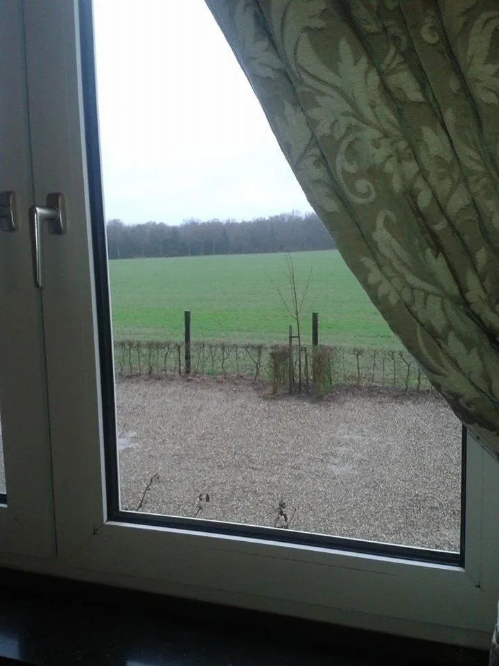 Garden view in De Blauwe Maaten