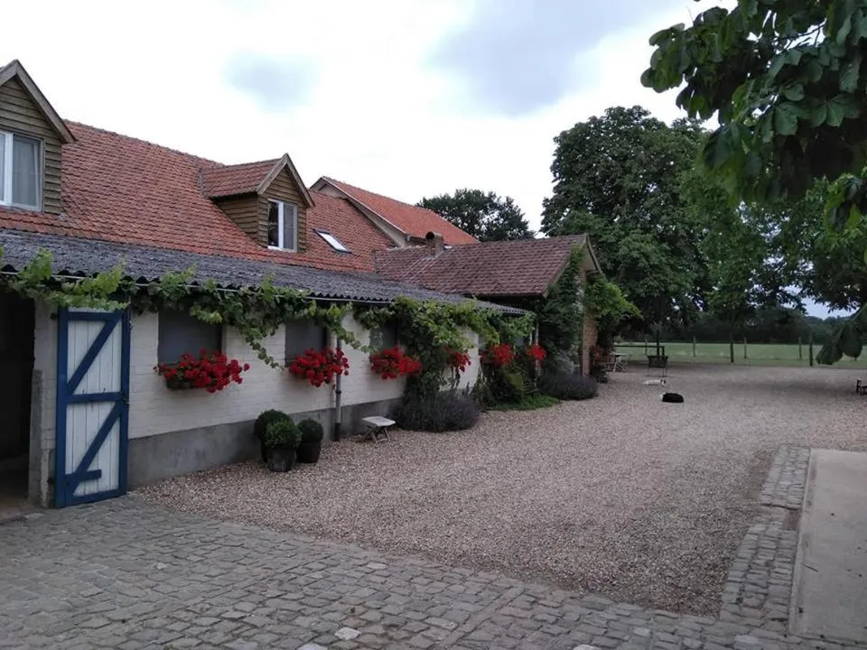 Summer in De Blauwe Maaten