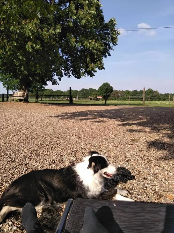 Neighbourhood in De Blauwe Maaten