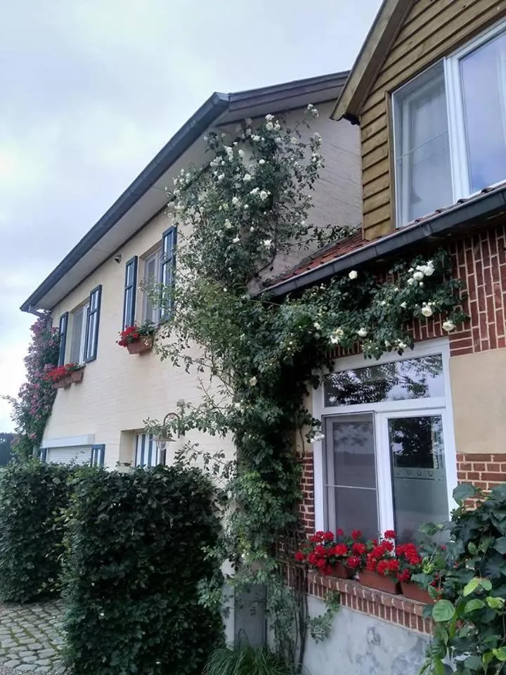 Balcony/Terrace in De Blauwe Maaten