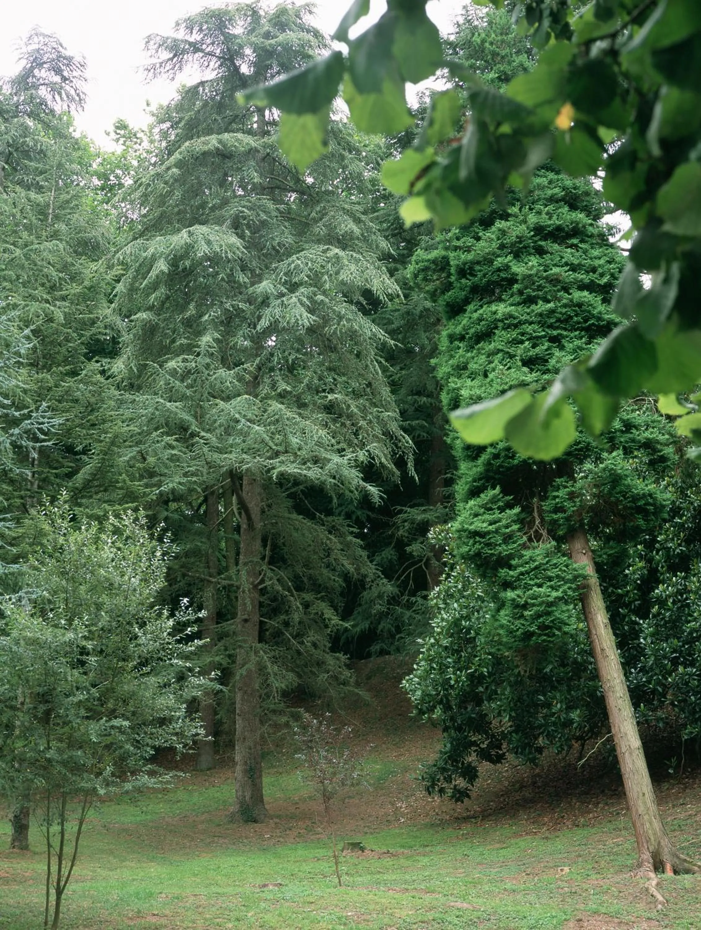 Facade/entrance in Parador de Limpias