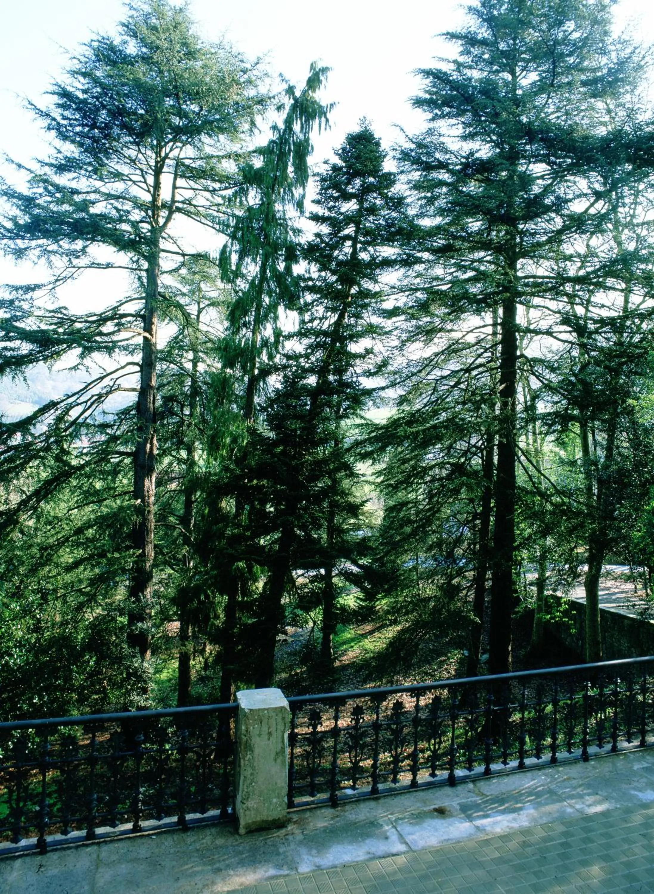 Facade/entrance in Parador de Limpias