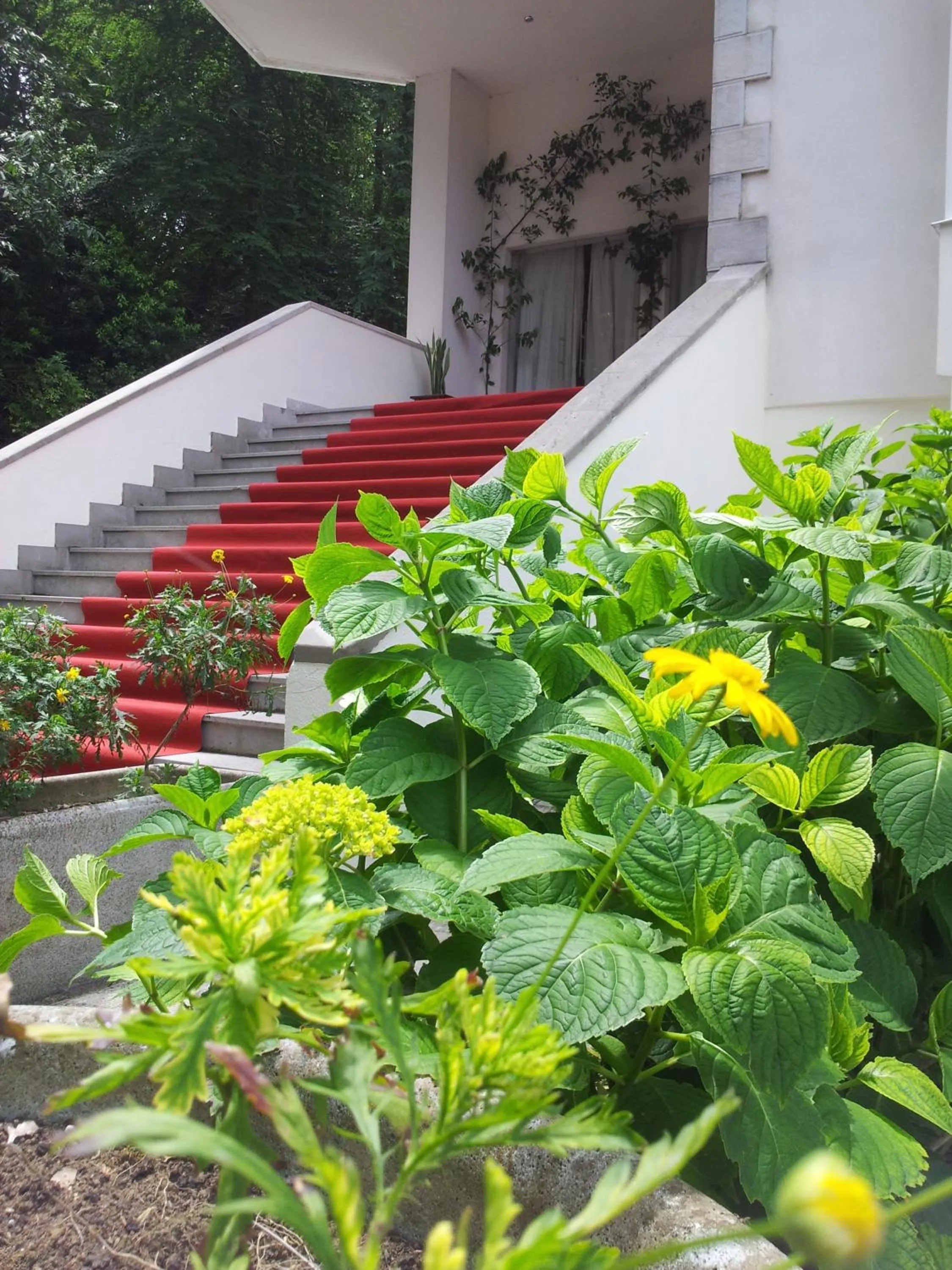 Facade/entrance in Parador de Limpias