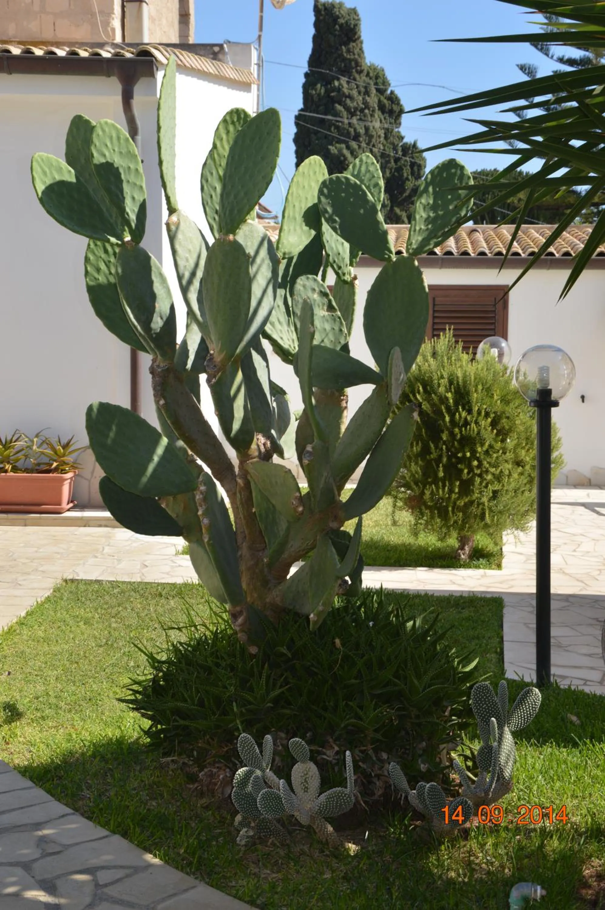 Garden in Mare e Sole Villa Urso