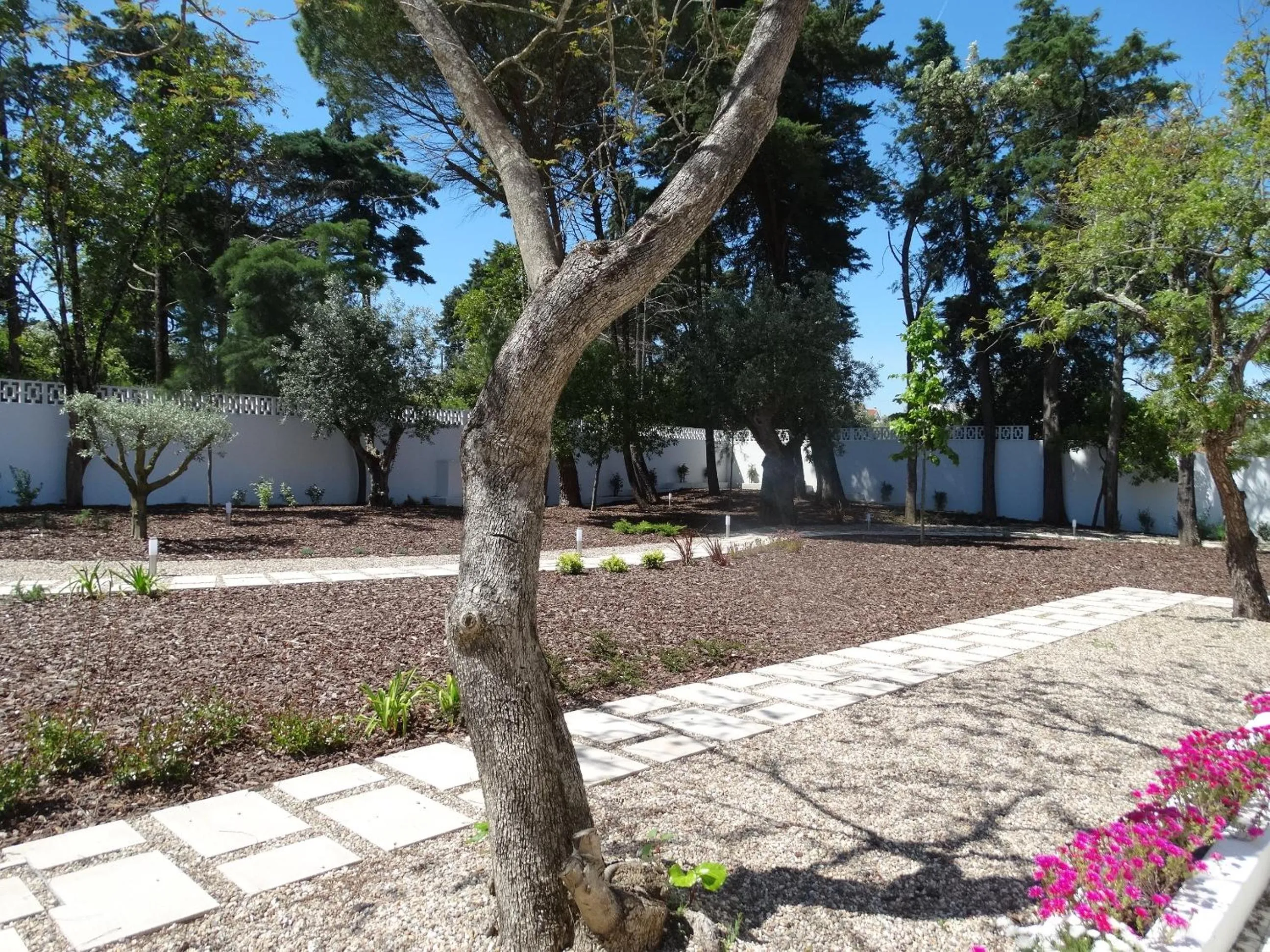 Garden in Aires da Serra Hotel