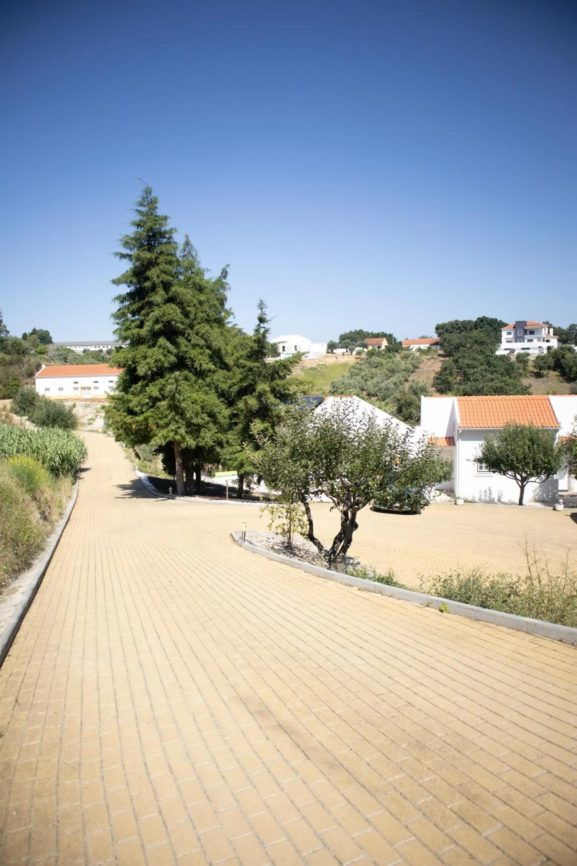 Garden in Aires da Serra Hotel