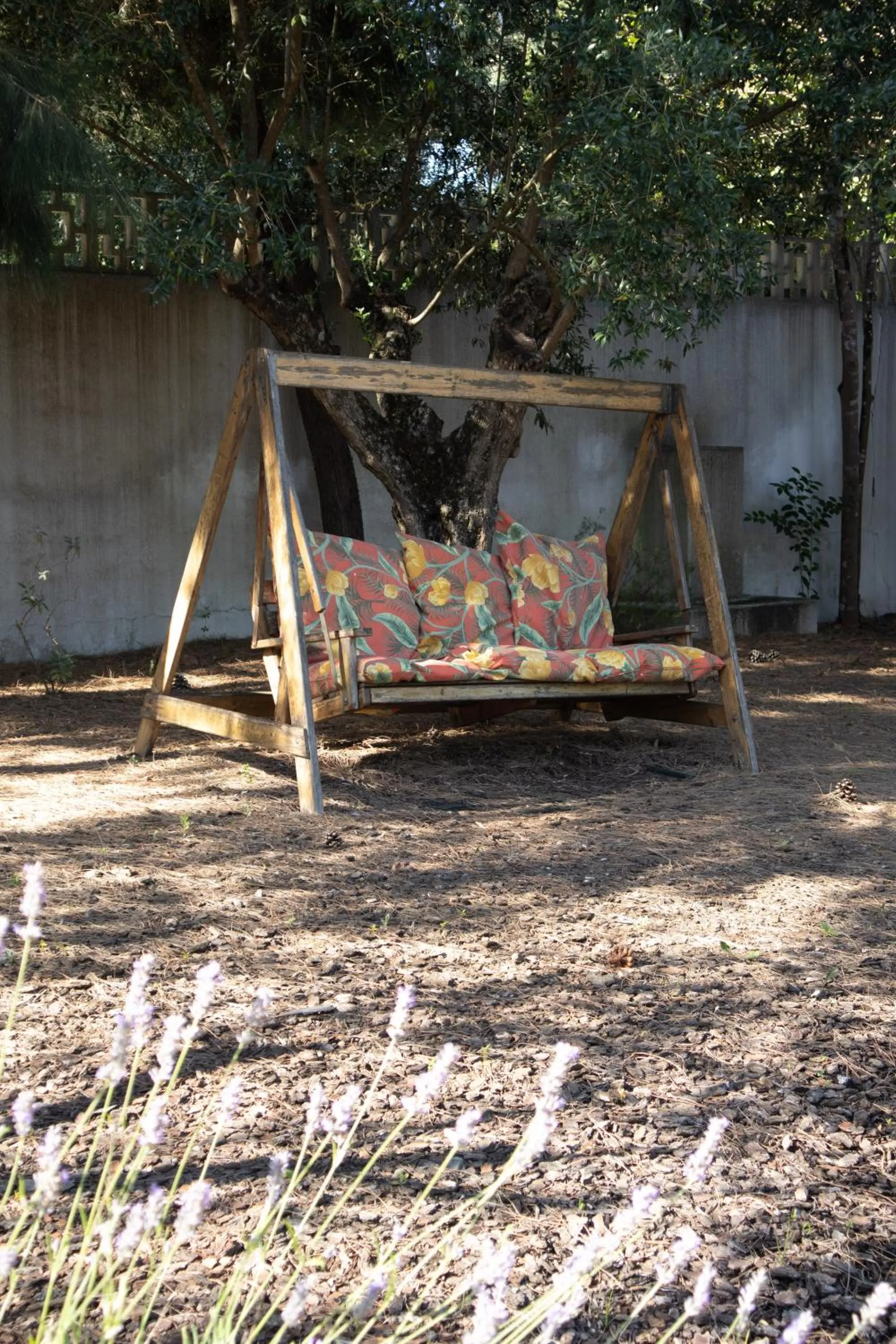 Garden in Aires da Serra Hotel