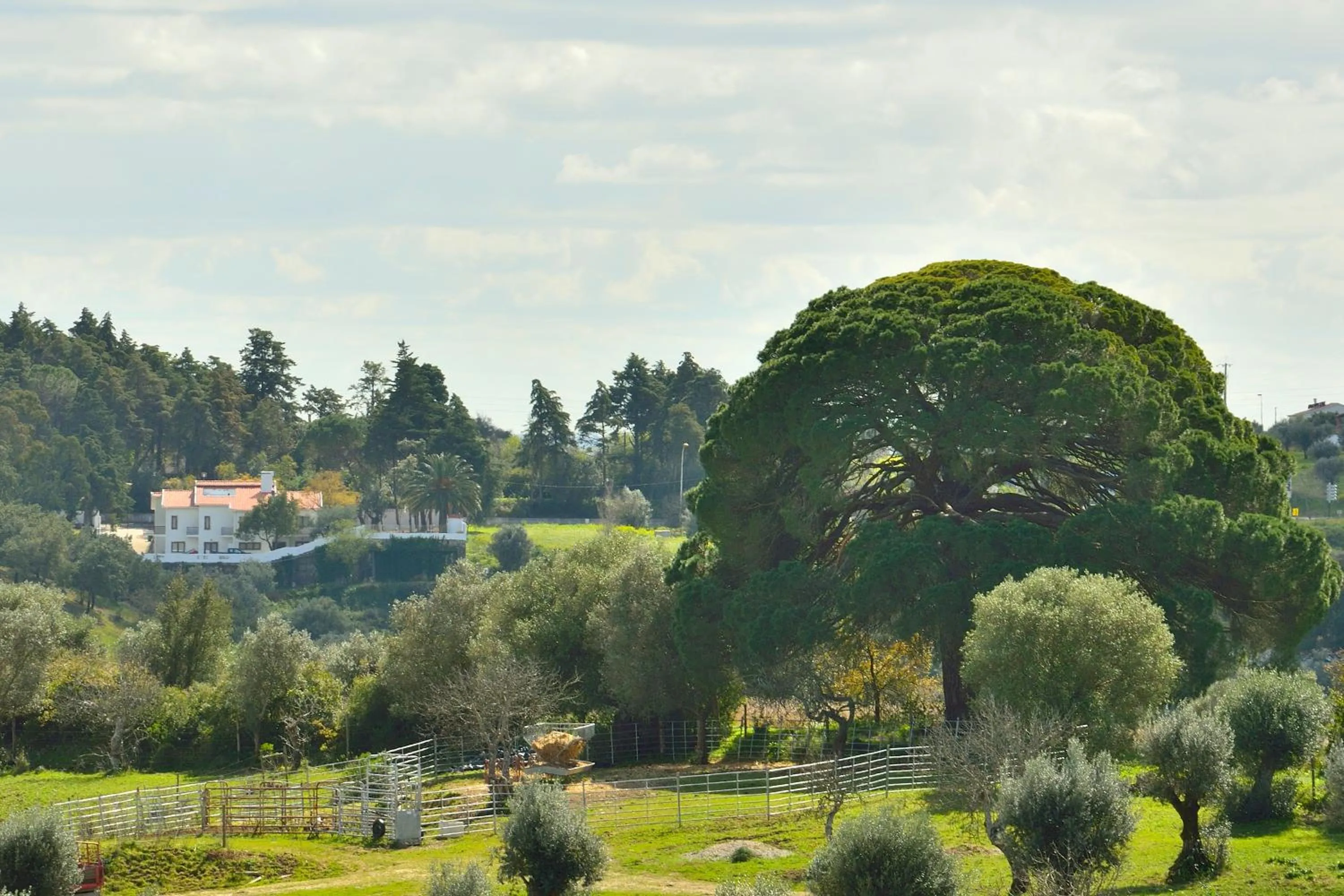 Bird's eye view in Aires da Serra Hotel