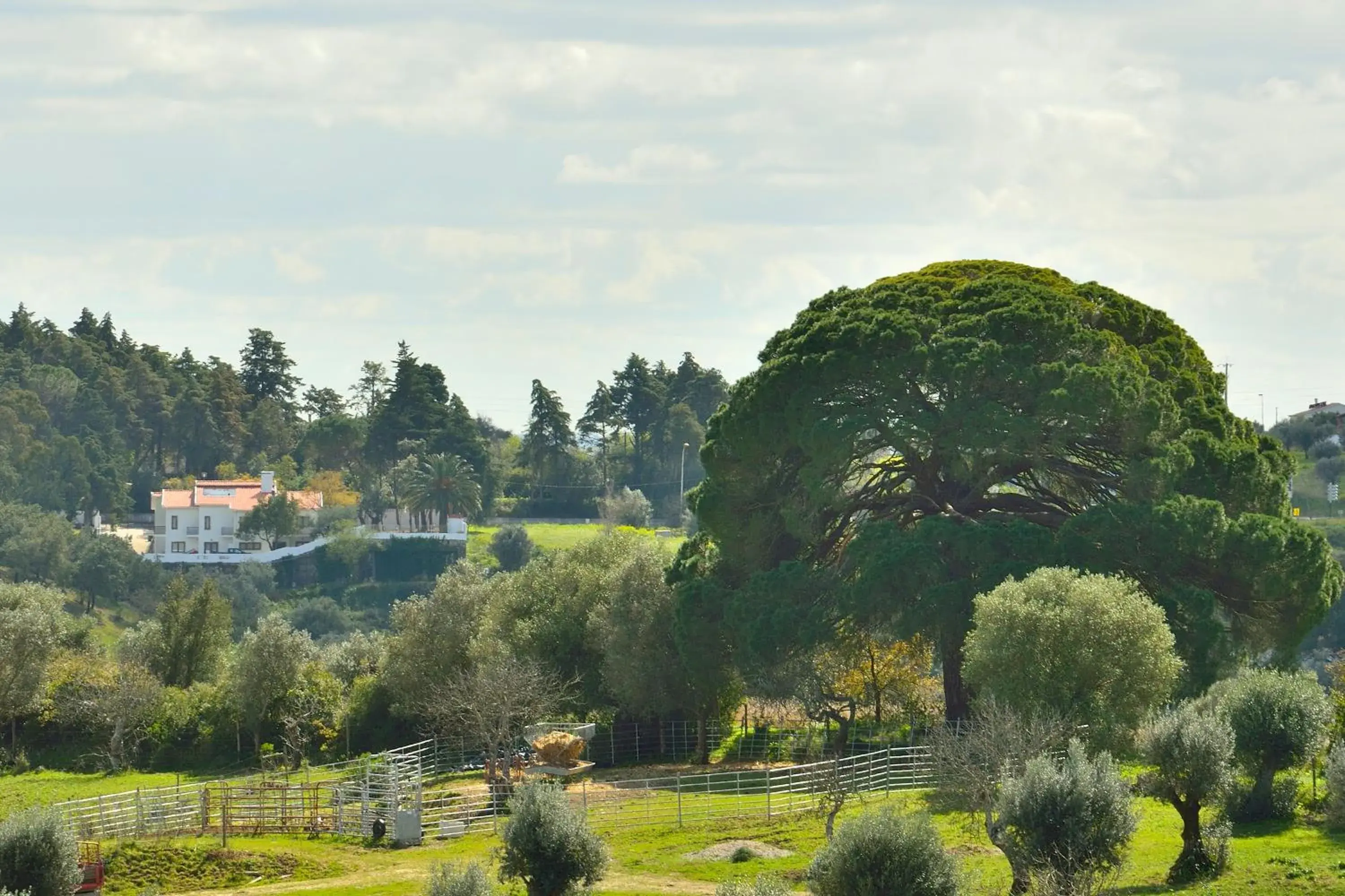 Bird's eye view in Aires da Serra Hotel Bird's eye view in Aires da Serra Hotel